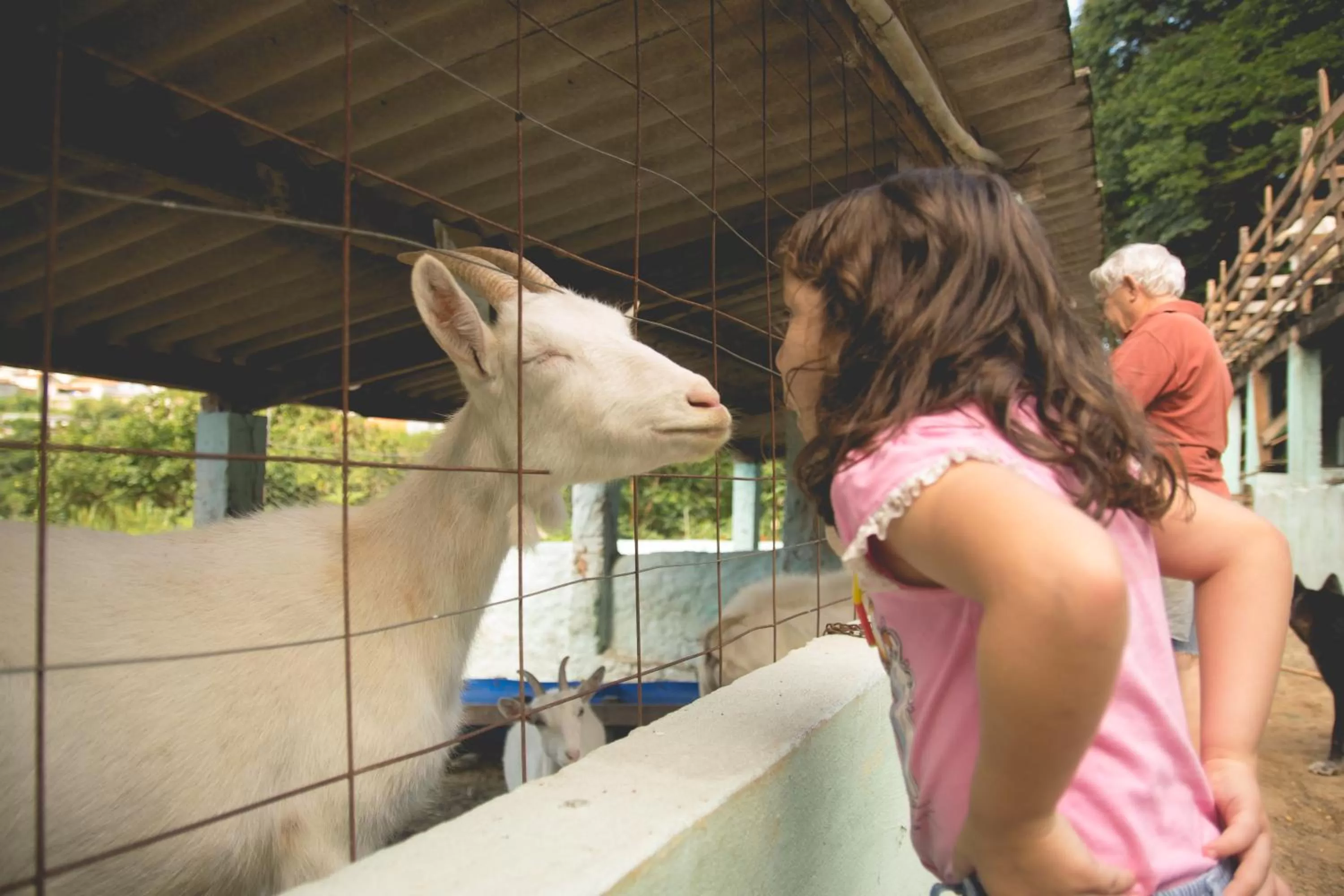 Property building, Other Animals in Lagoa Seca Hotel Rural