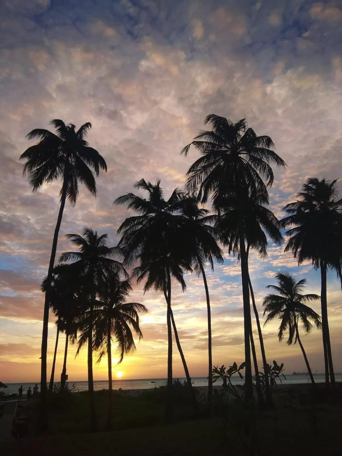 Natural landscape, Sunrise/Sunset in 108 Palms Beach Resort