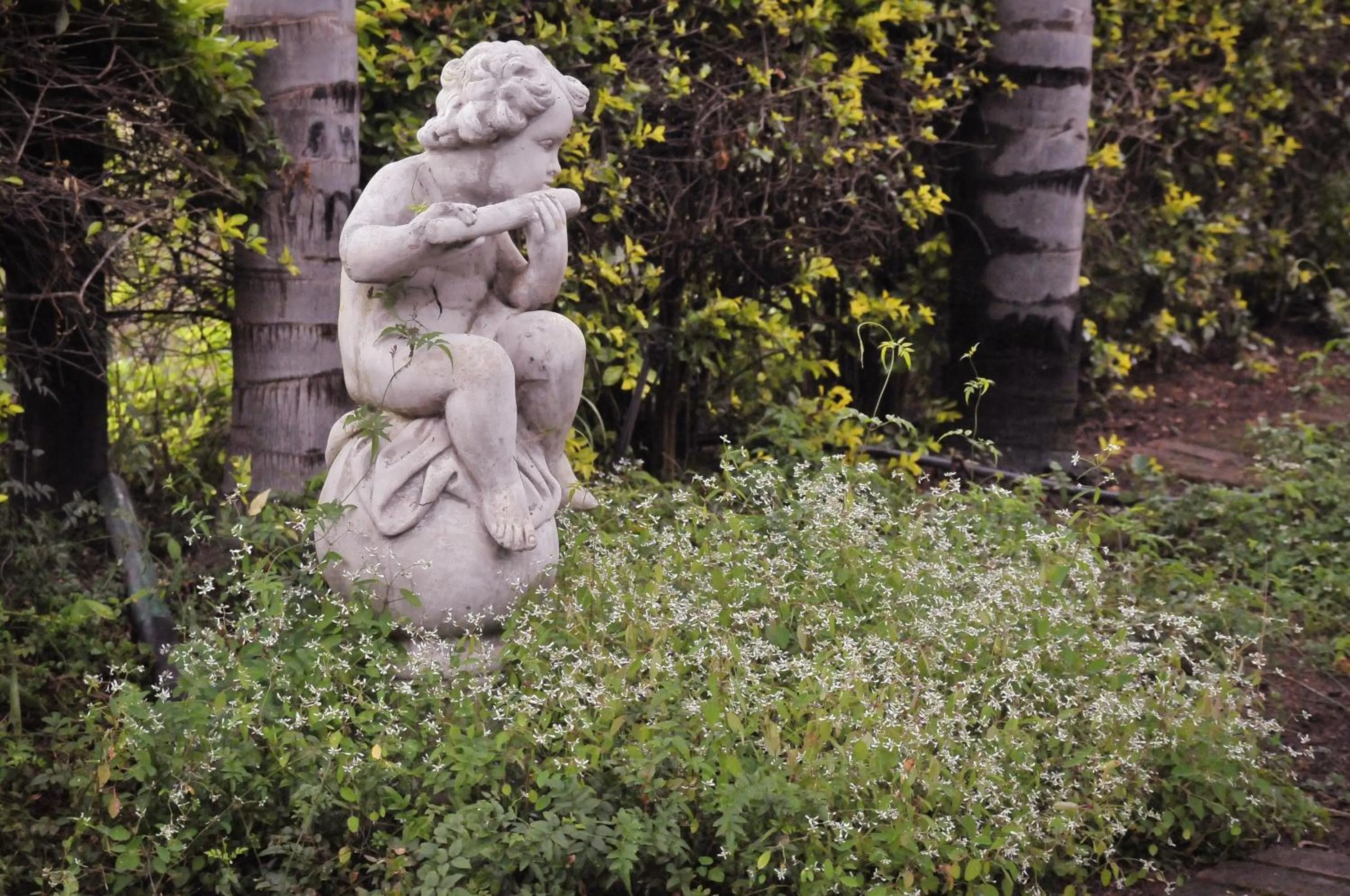 Facade/entrance in Tzaneen Country Lodge