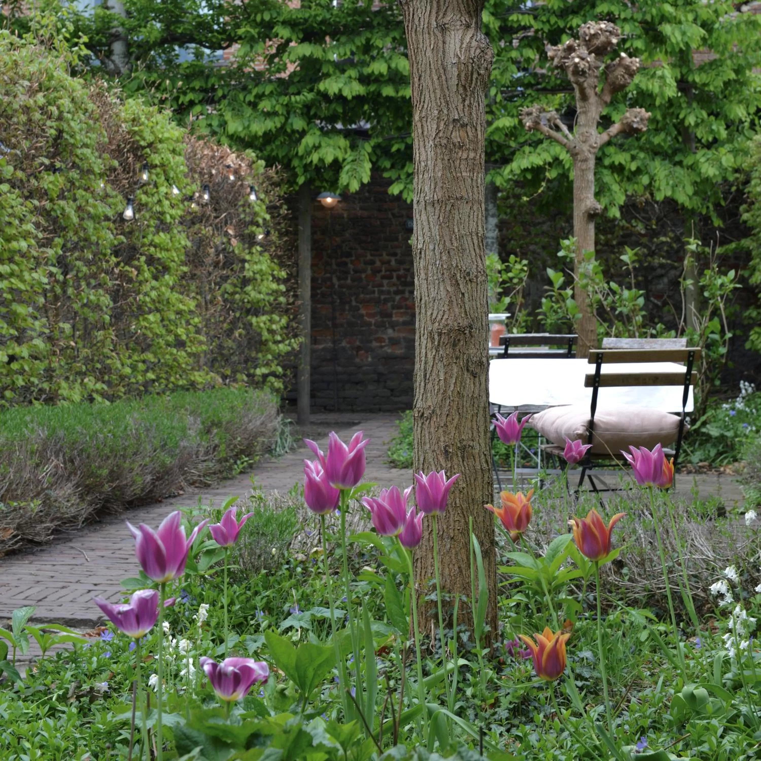 Garden in Boetiekhotel Hemelhuys