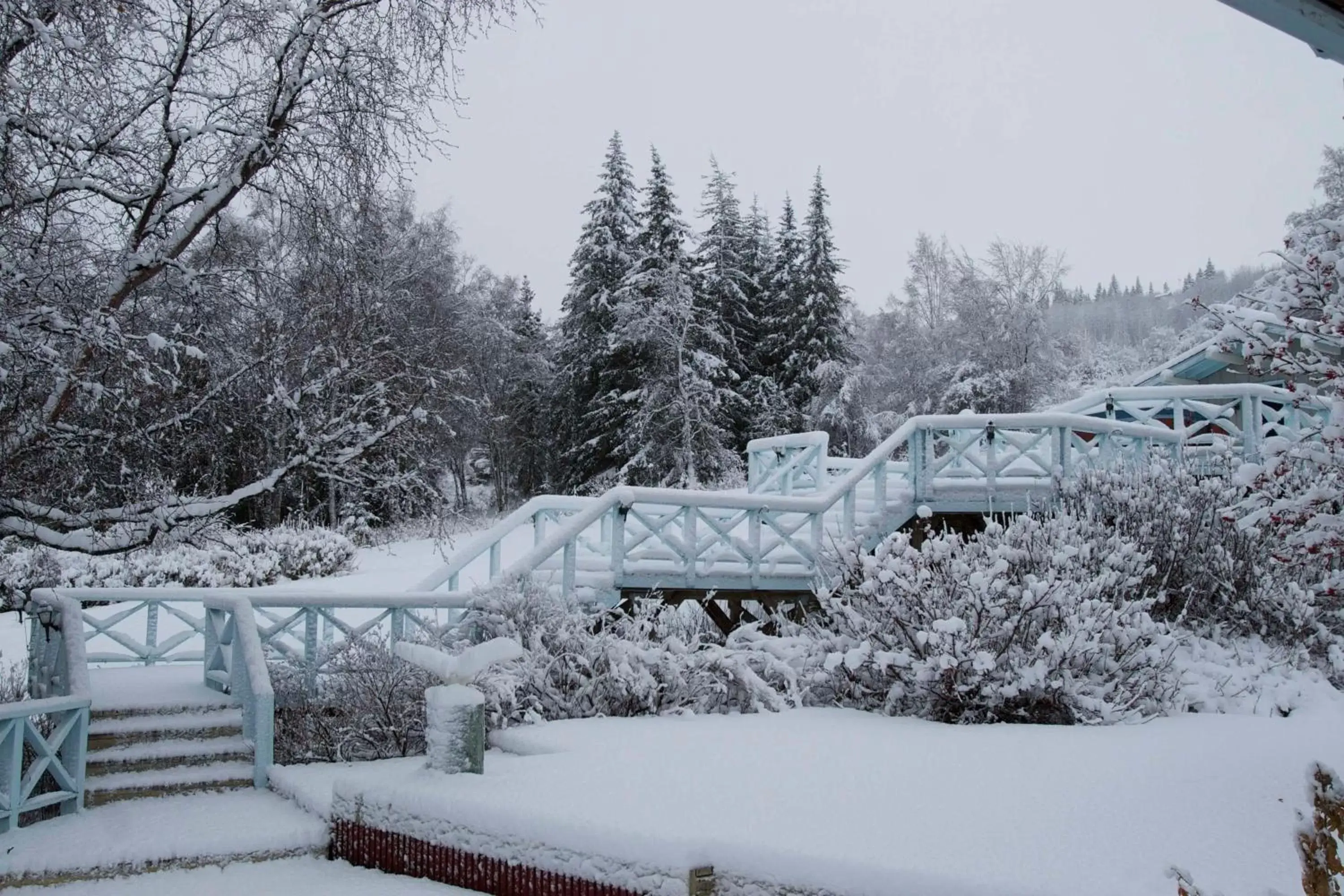 Natural landscape, Winter in Halcyon Heights B&B/Inn