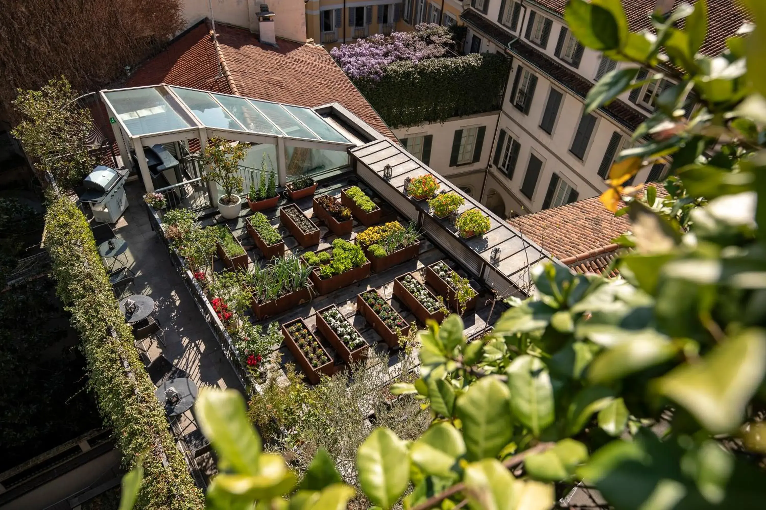 Garden, Bird's-eye View in Hotel Milano Scala