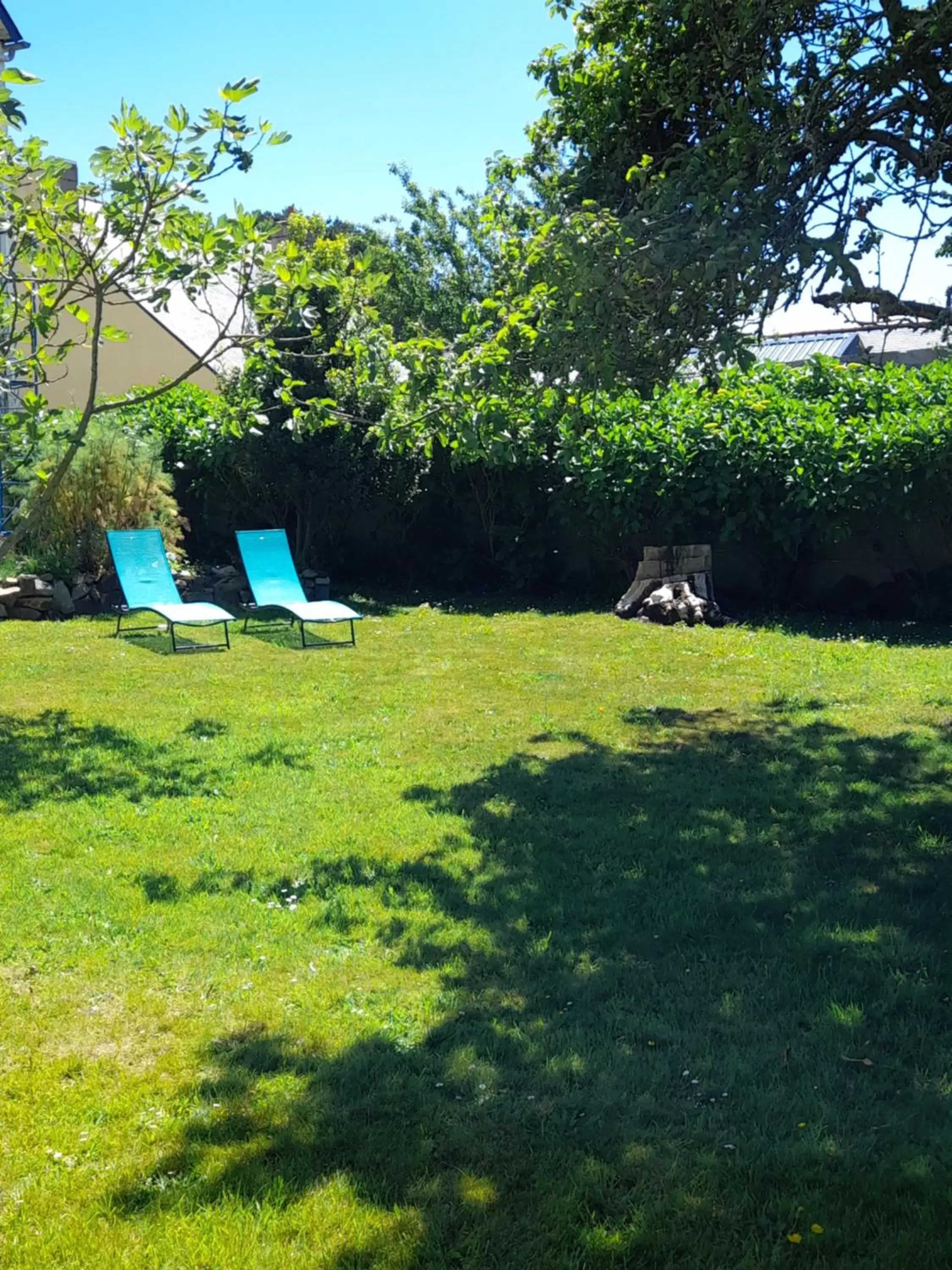 Garden in Les Hortensias - Chambres d'Hôtes