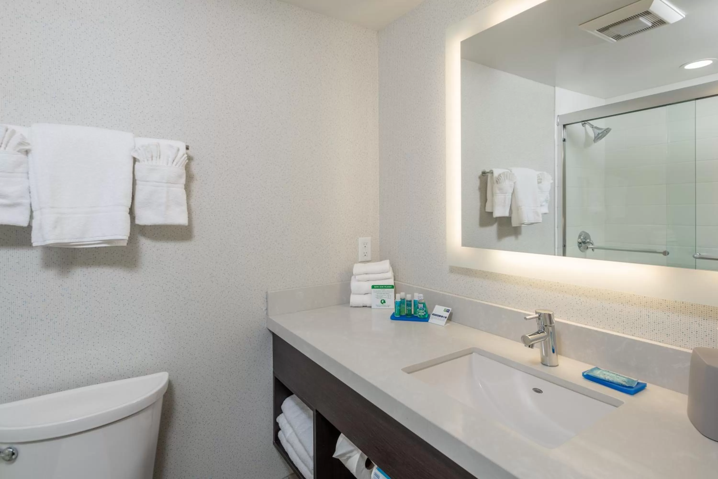 Bathroom in Holiday Inn Express - Sunnyvale - Silicon Valley by IHG