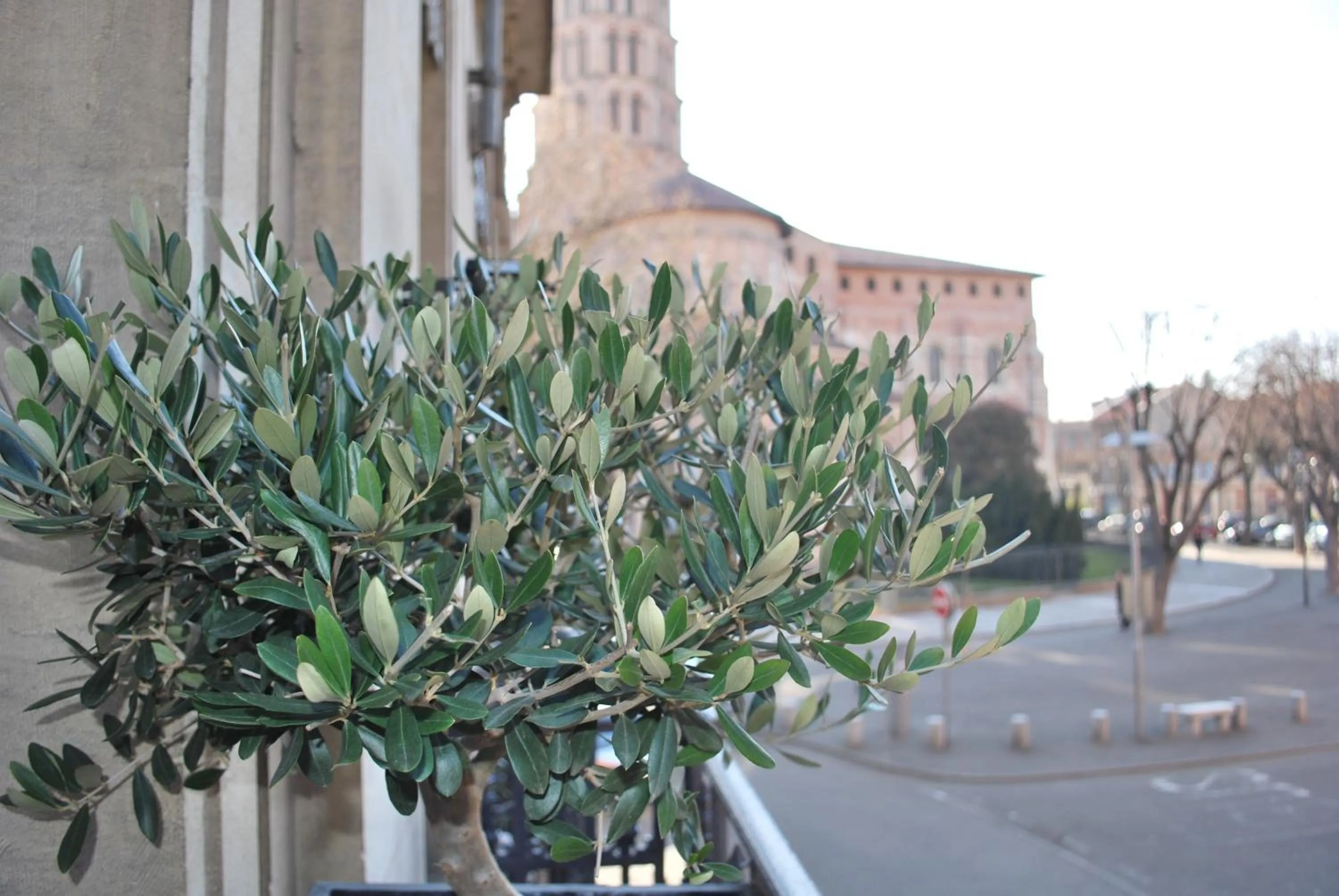 Facade/entrance in Hôtel St Sernin