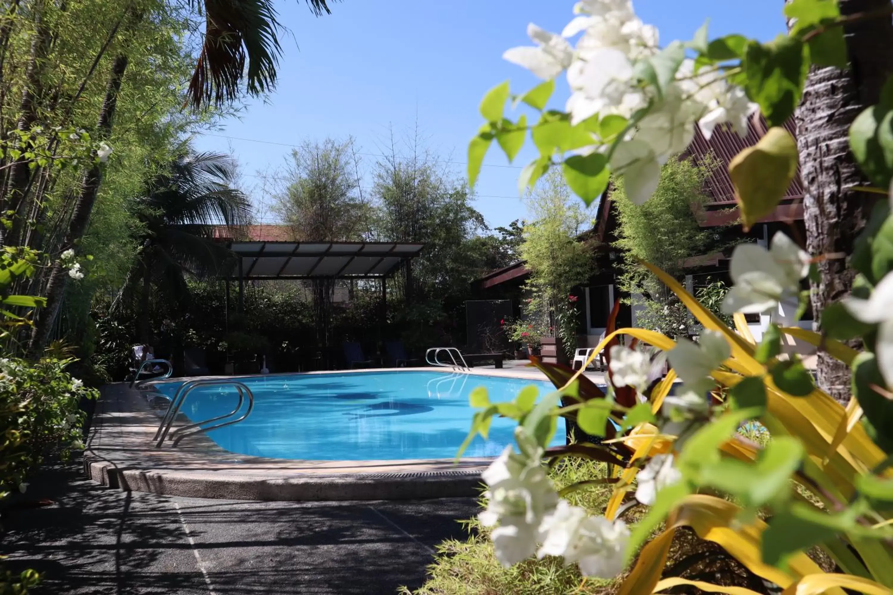 Swimming Pool in Domicilio Lorenzo