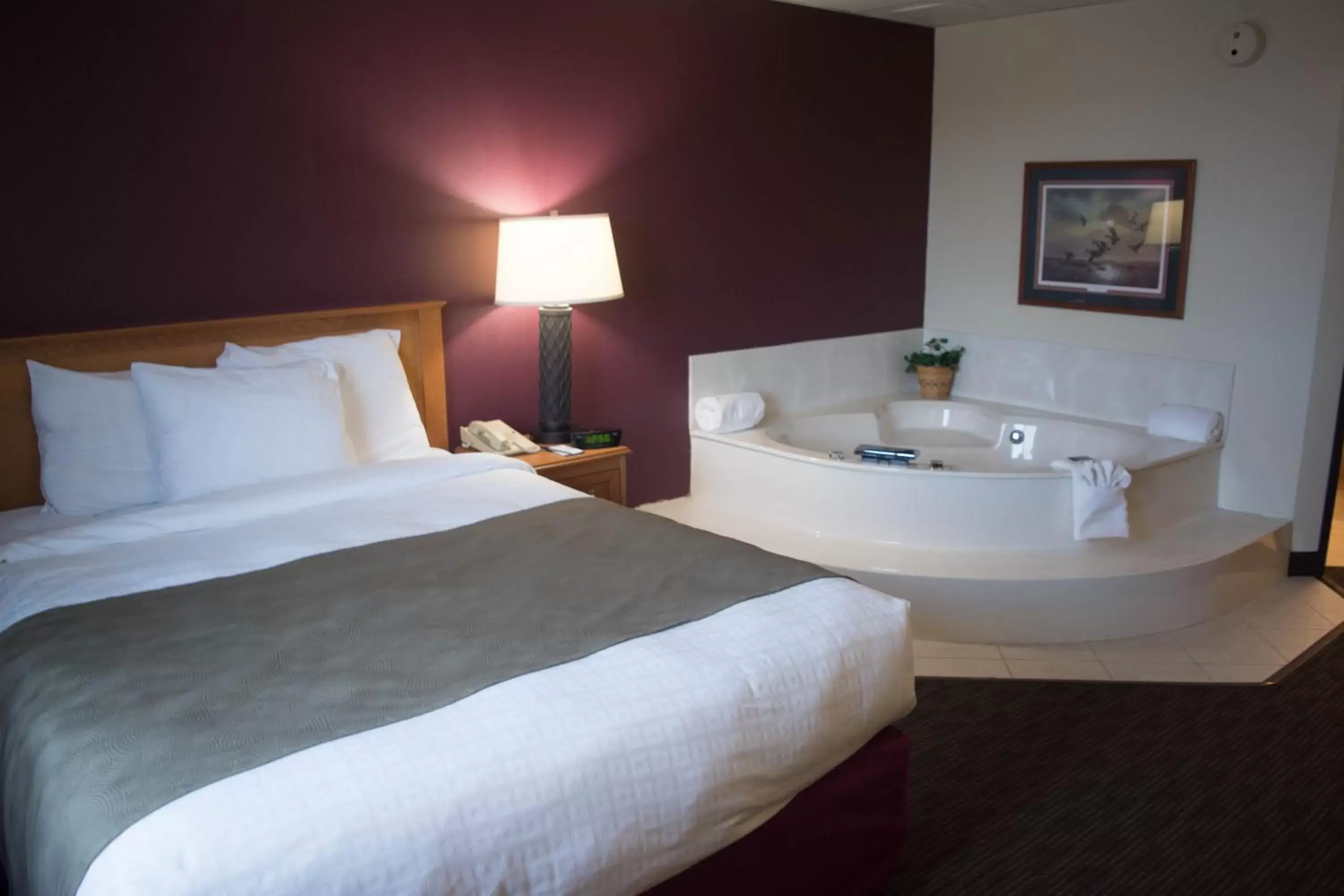 Bed in AmericInn by Wyndham Madison SD Bed in AmericInn by Wyndham Madison SD