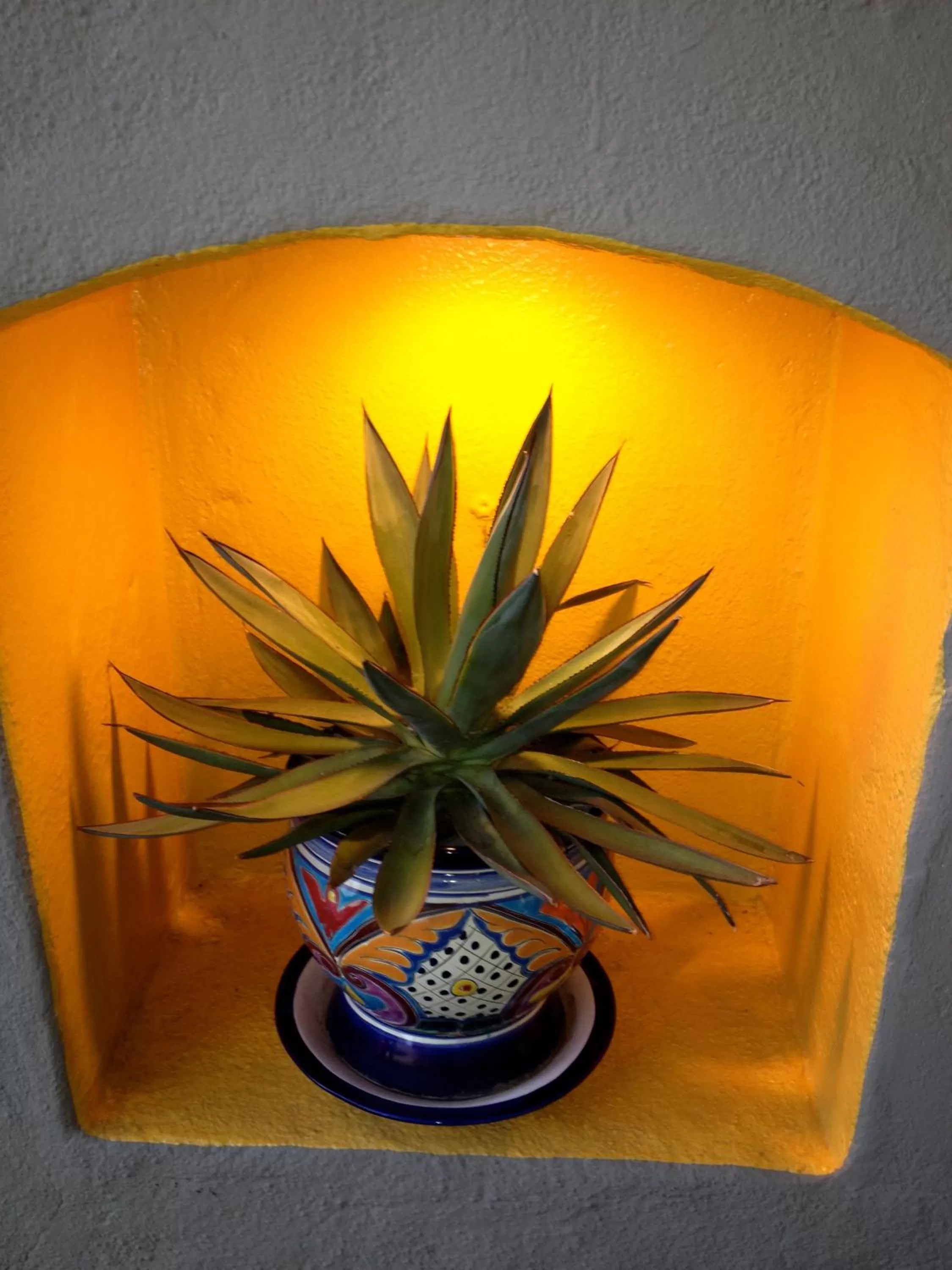 Decorative detail in Agave Inn