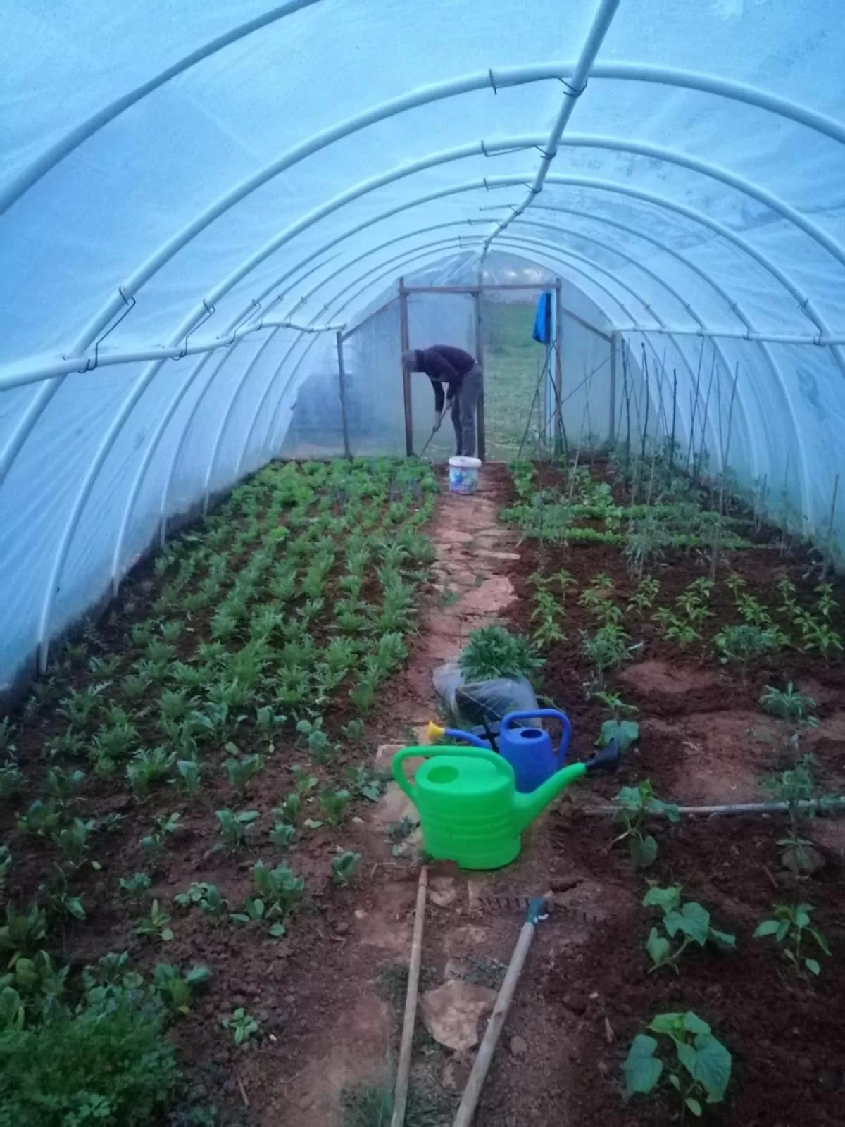 Restaurant/places to eat in Villa Flowers