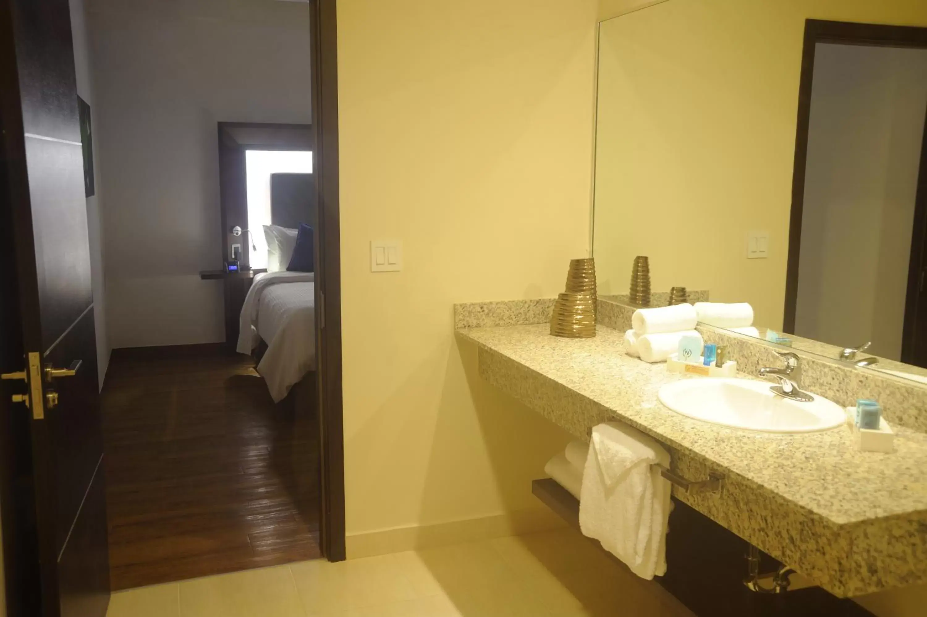 Hot Spring Bath, Bathroom in Novotel Panama City
