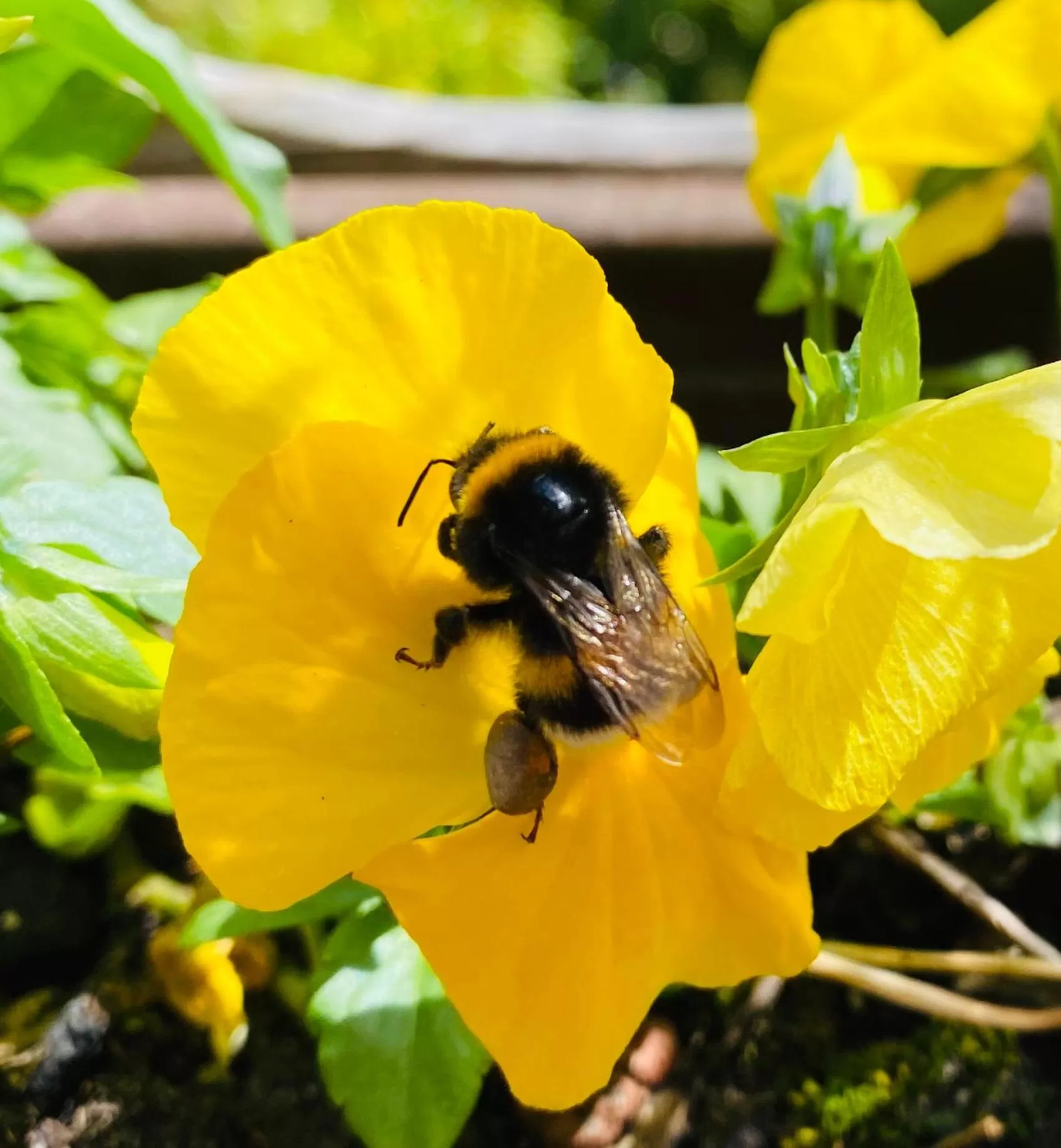 Davaa's Bed & Breakfast