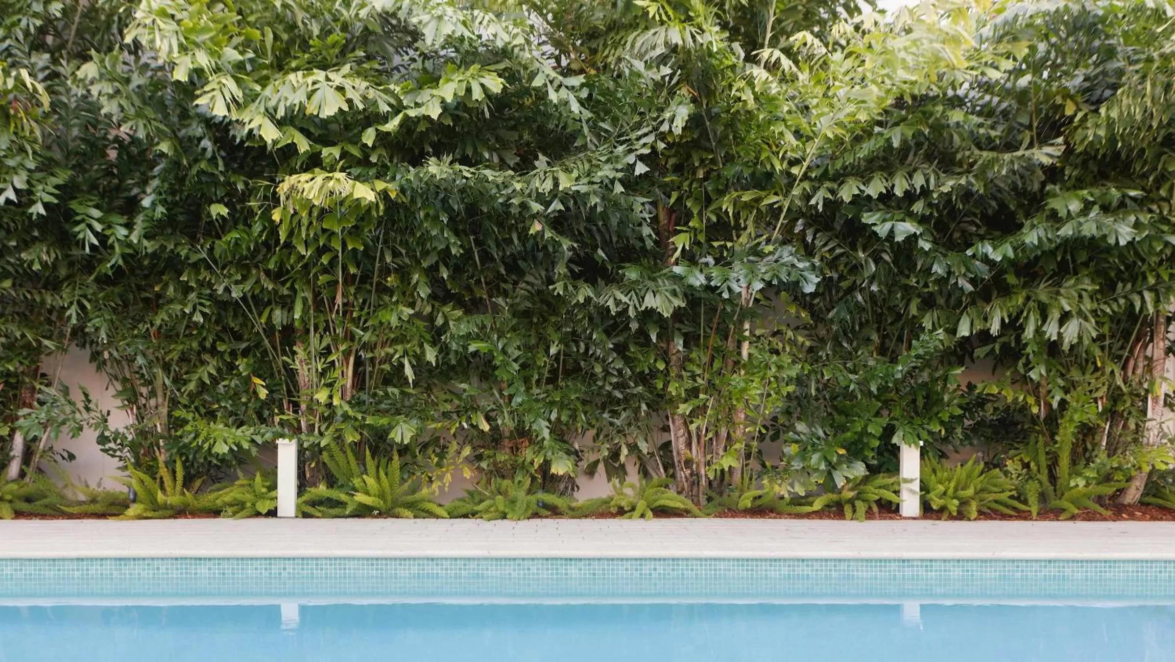 Swimming pool in The Kimpton Shorebreak Fort Lauderdale Beach Resort