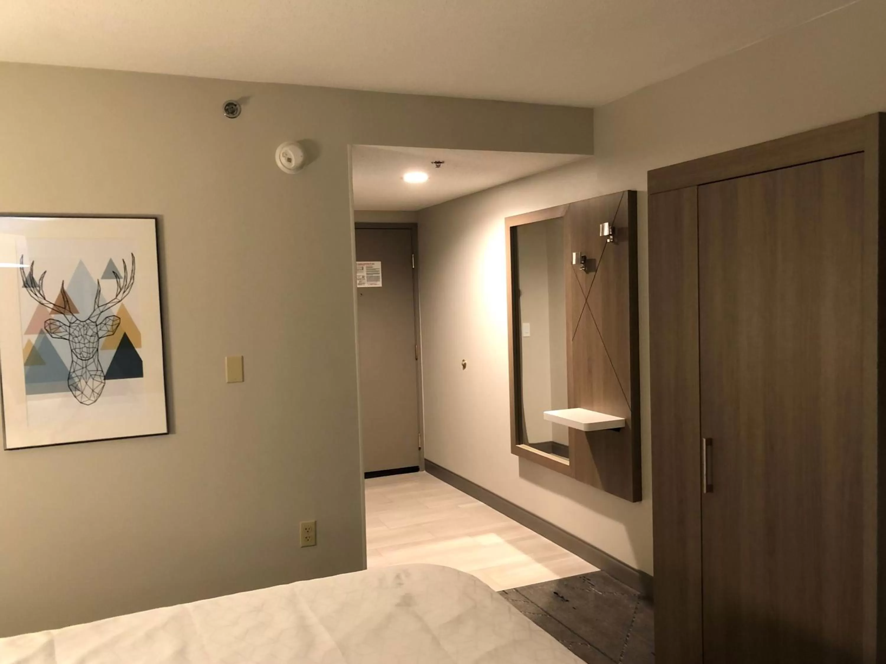 Photo of the whole room, Bed in Holiday Inn Express & Suites Donegal by IHG