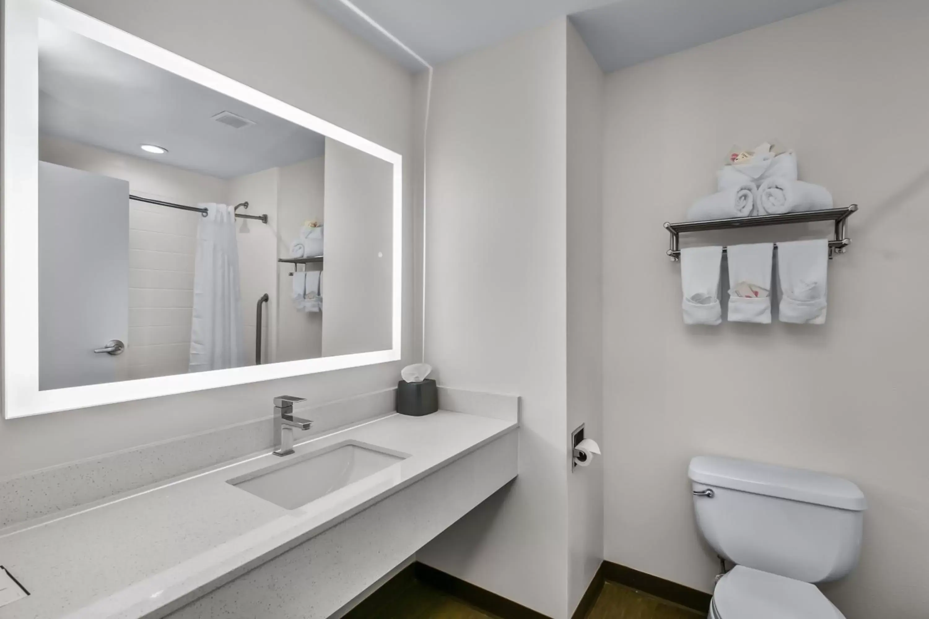 Bathroom in Holiday Inn Express Hotel & Suites Lucedale, an IHG Hotel