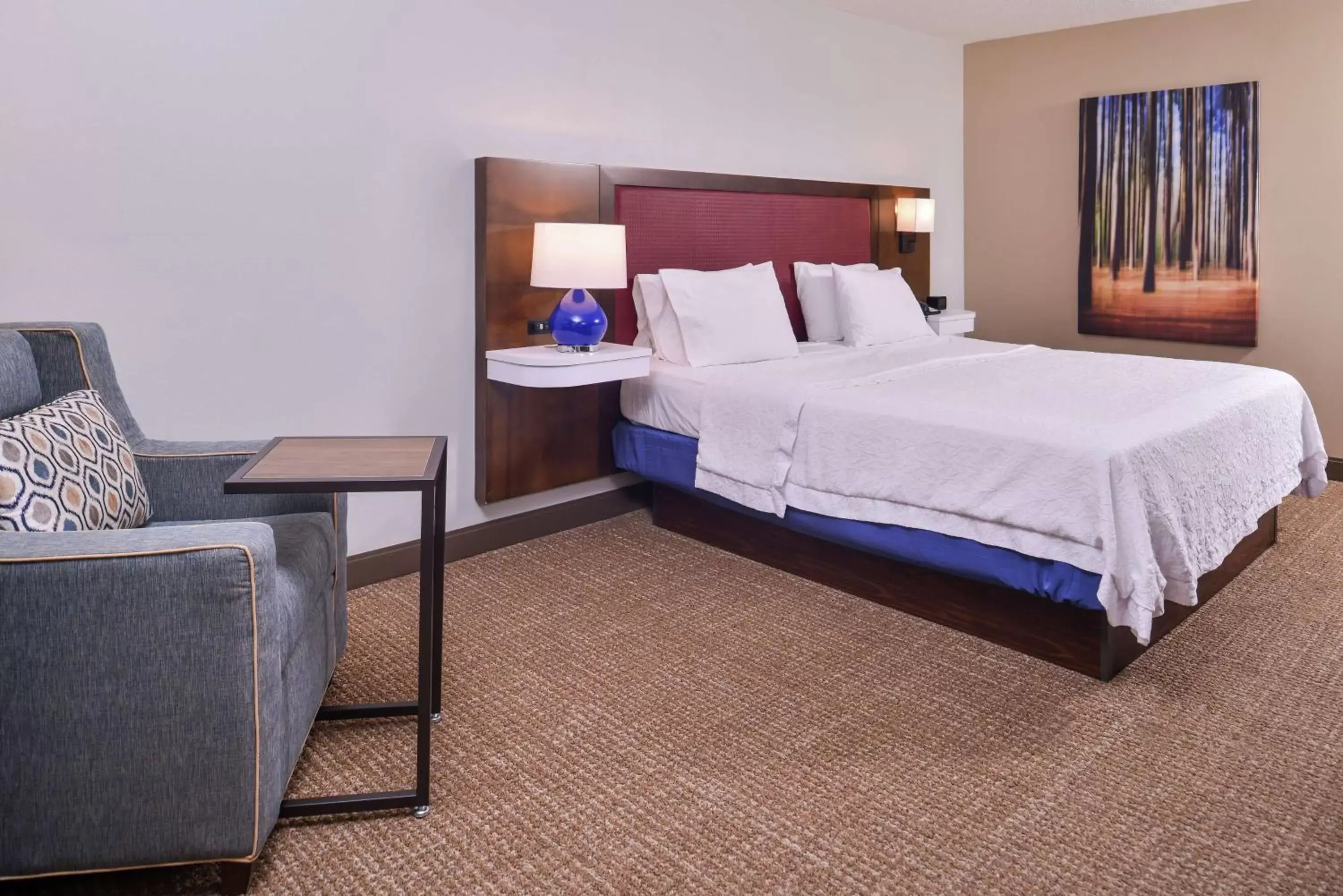 Living room, Bed in Hampton Inn Lexington Historic Area