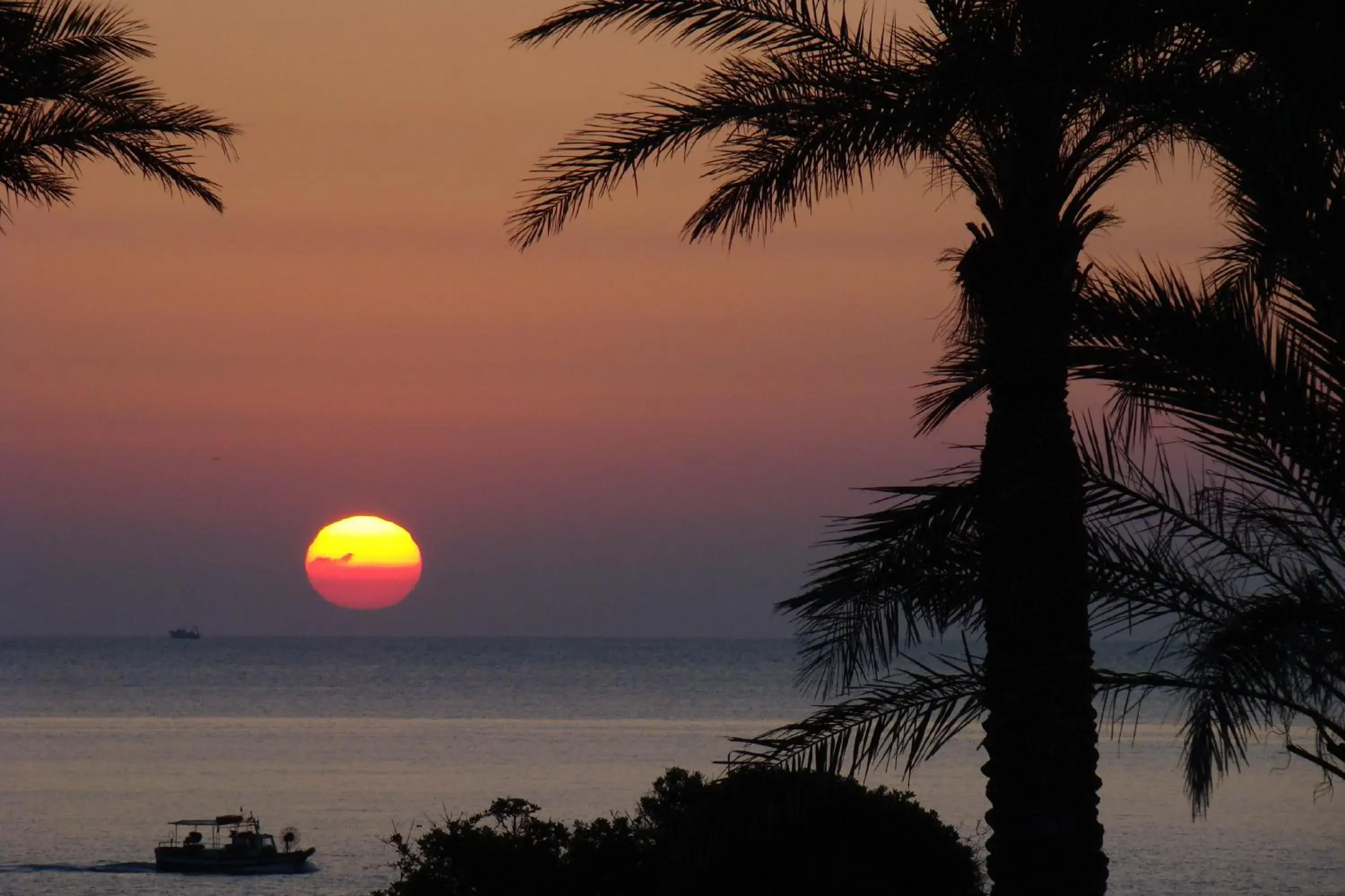 Sea view, Sunrise/Sunset in Arbatax Park Resort - Suites Del Mare