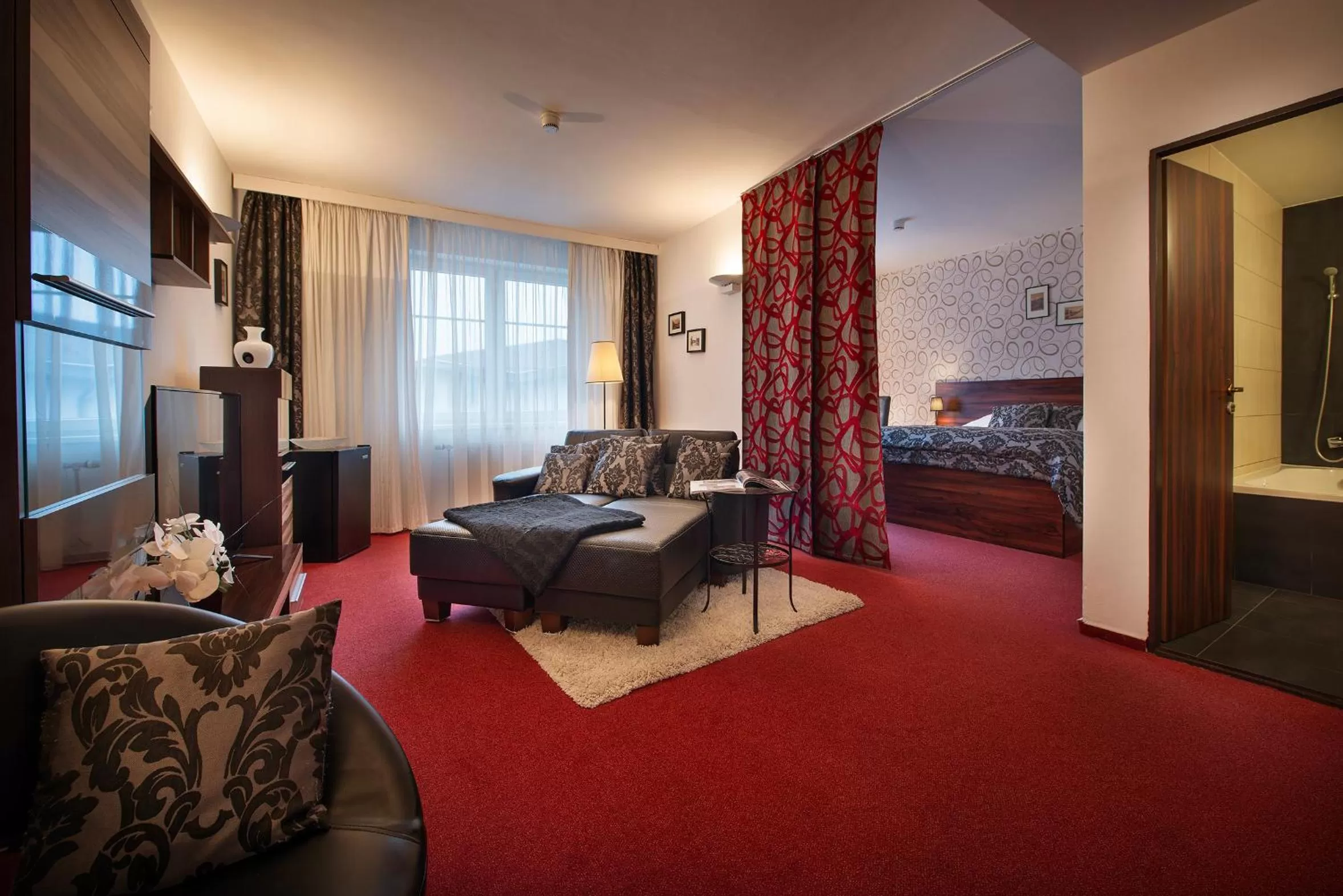 TV and multimedia, Bed in Parkhotel Morris Novy Bor