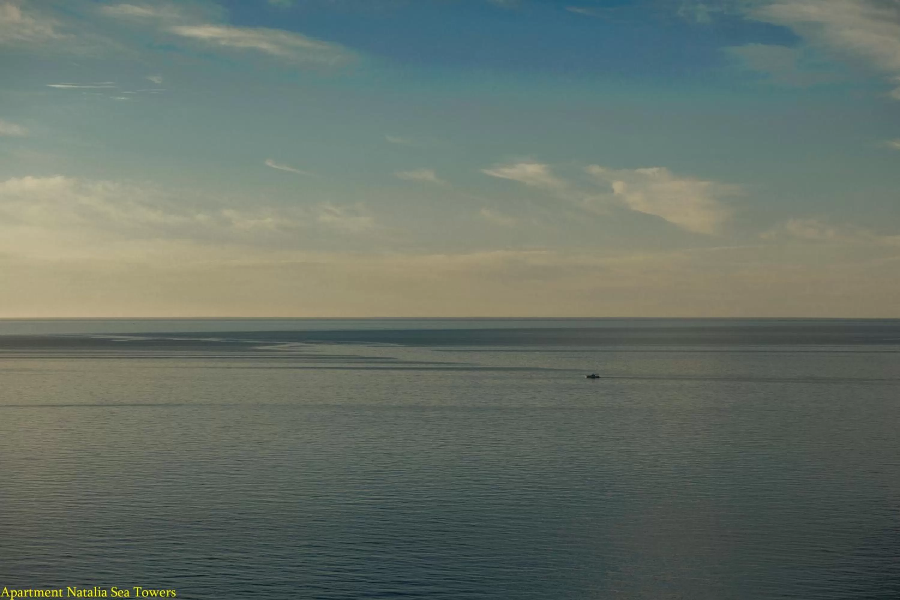 Balcony/Terrace in Blue Star Batumi