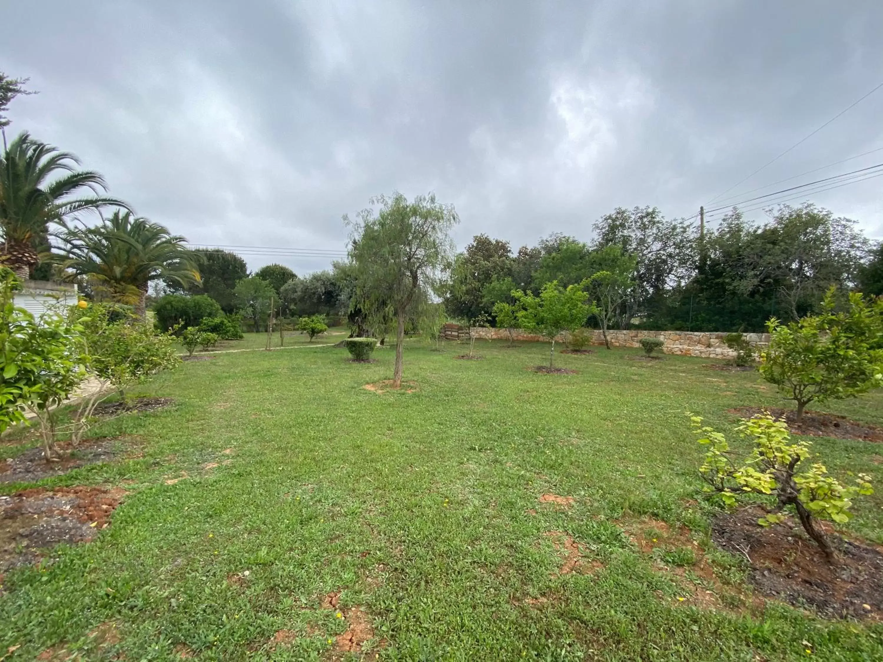 Garden in Adamah Vayu -Casa Serenida