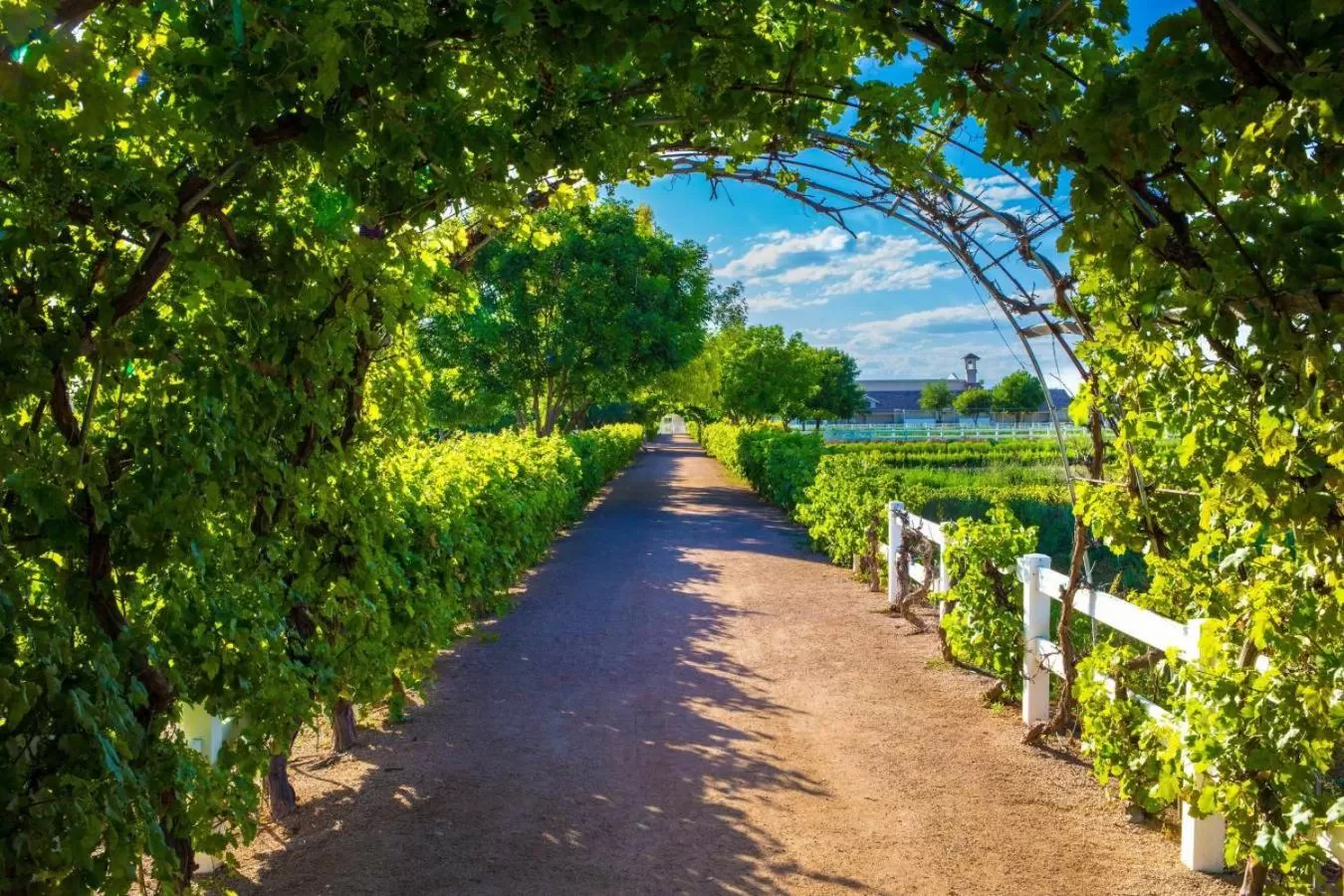 Natural landscape in Hyatt Place Phoenix/ Mesa