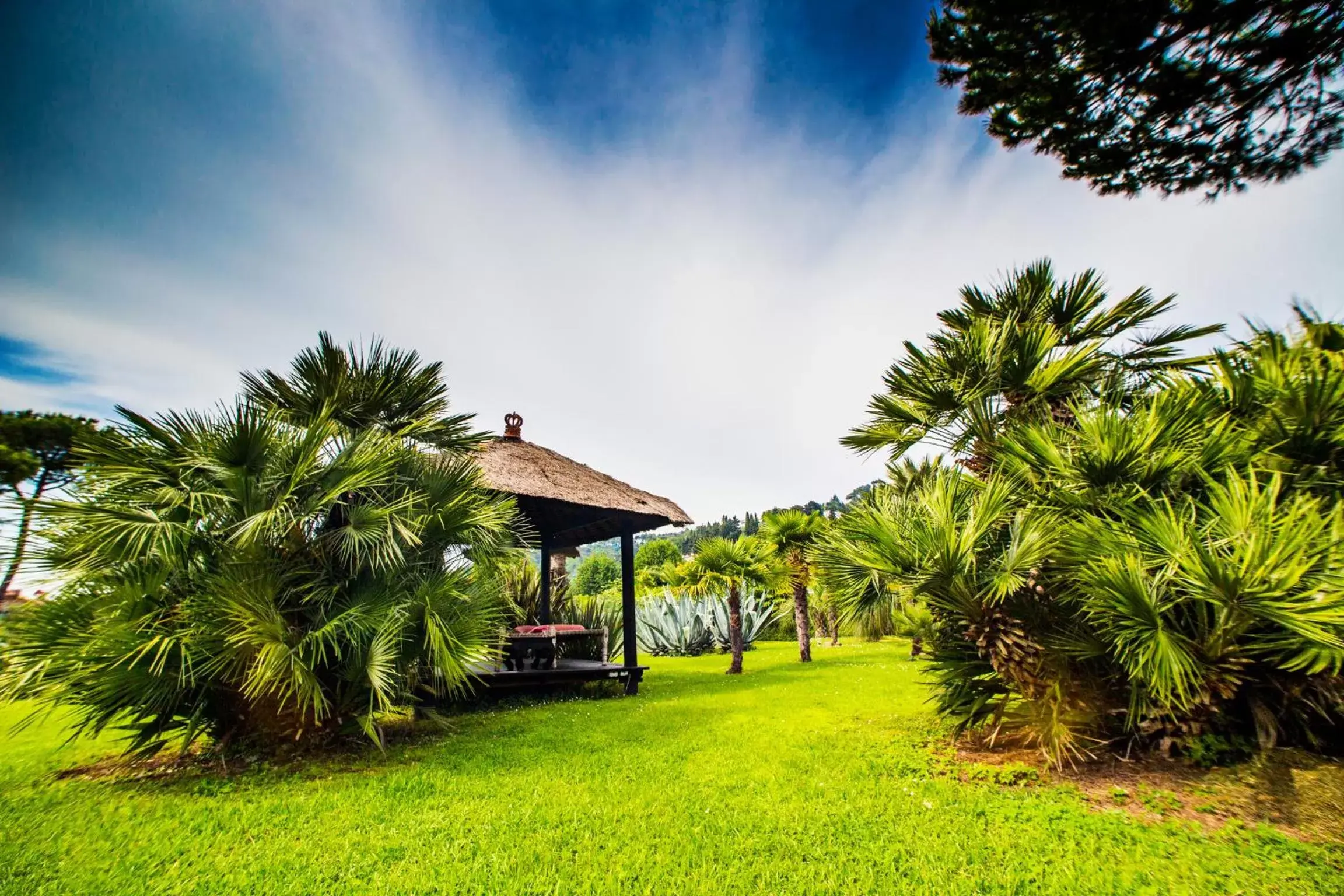 Garden, Property Building in Casa Matilde