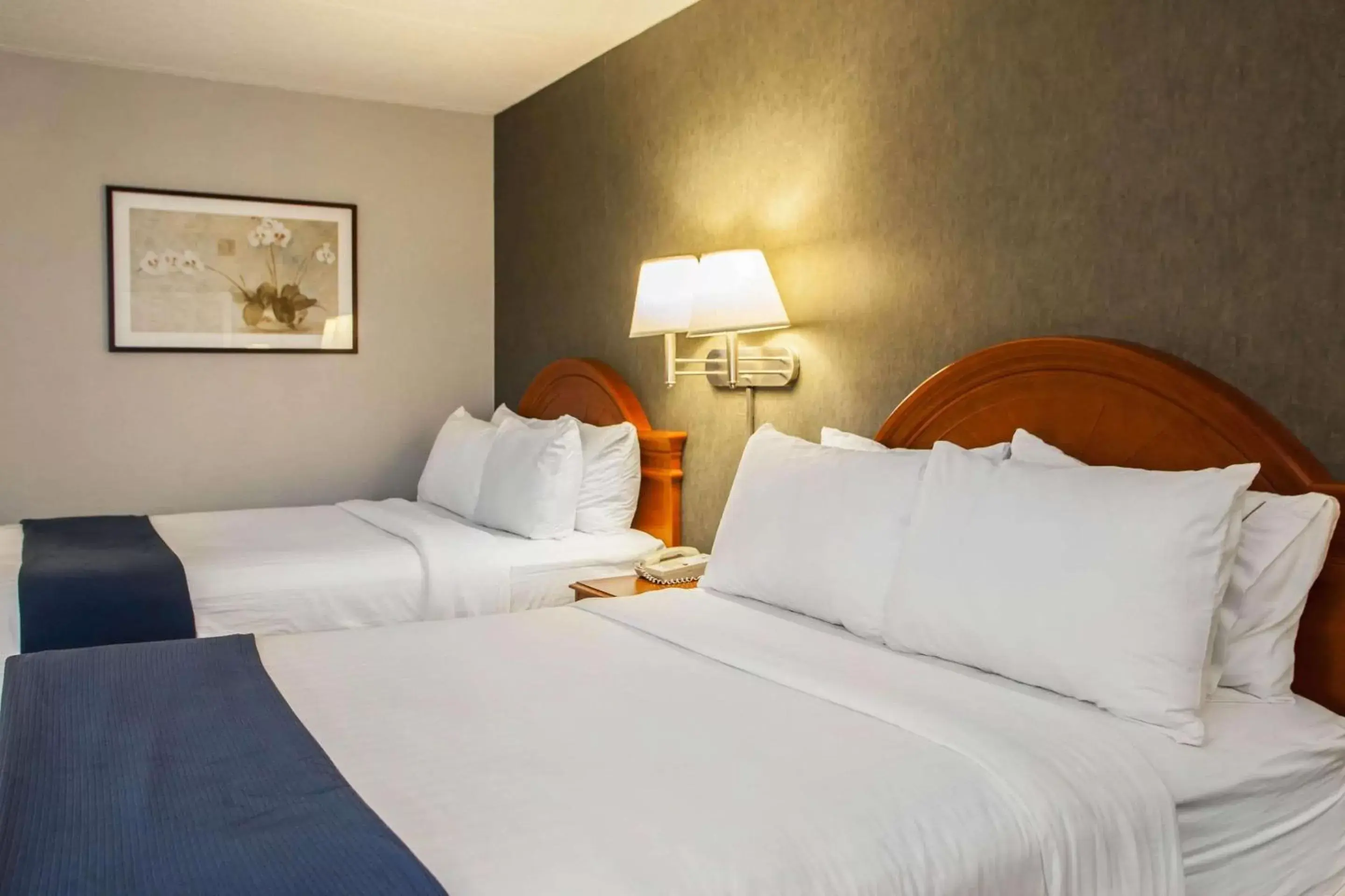 Photo of the whole room, Bed in Quality Inn and Suites St Charles -West Chicago