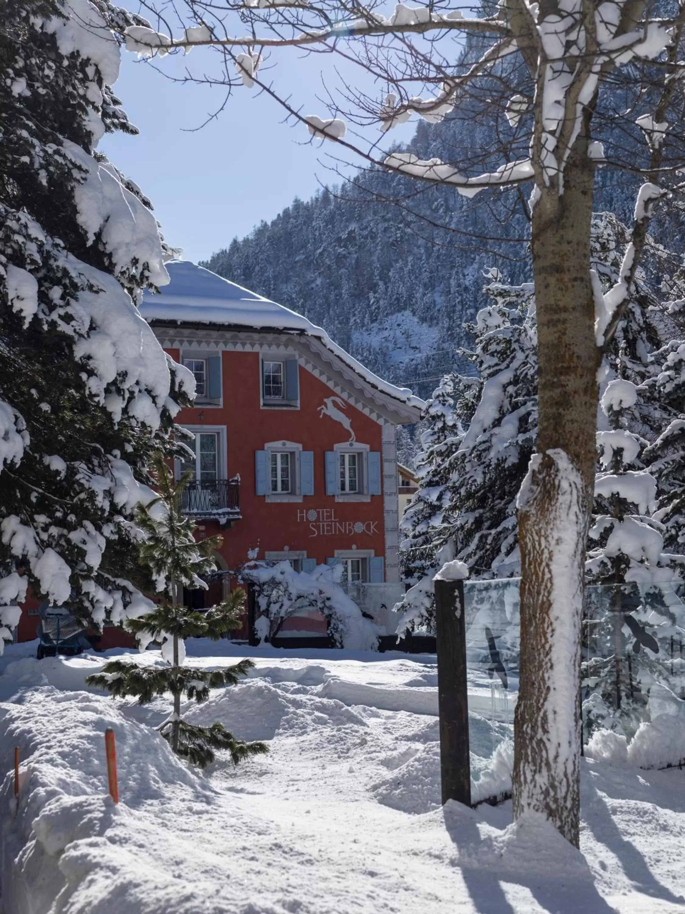 Property building, Winter in Hotel Steinbock Pontresina