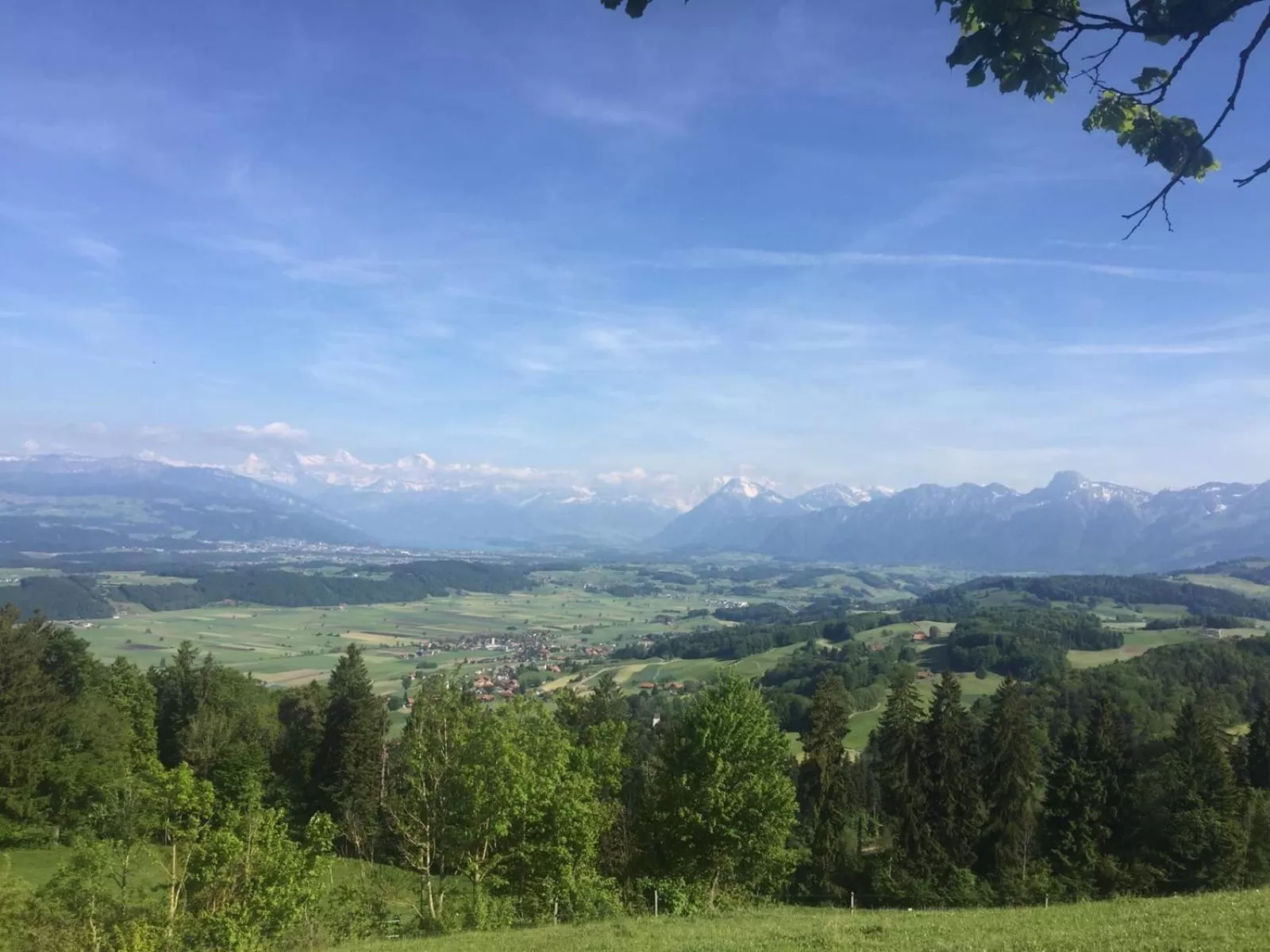 Natural landscape, Mountain View in B&B Bären
