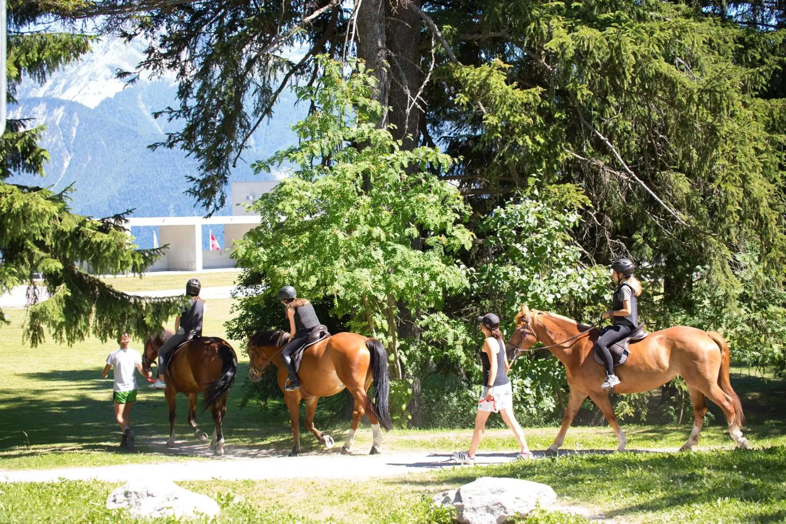 Neighbourhood, Horseback Riding in Hotel La Prairie