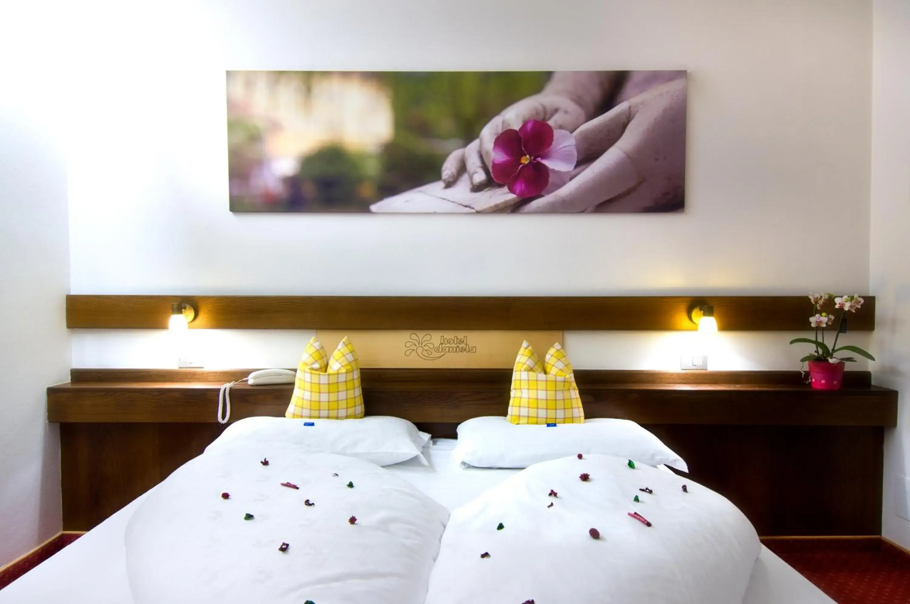 Double Room - single occupancy in Hotel Daniela