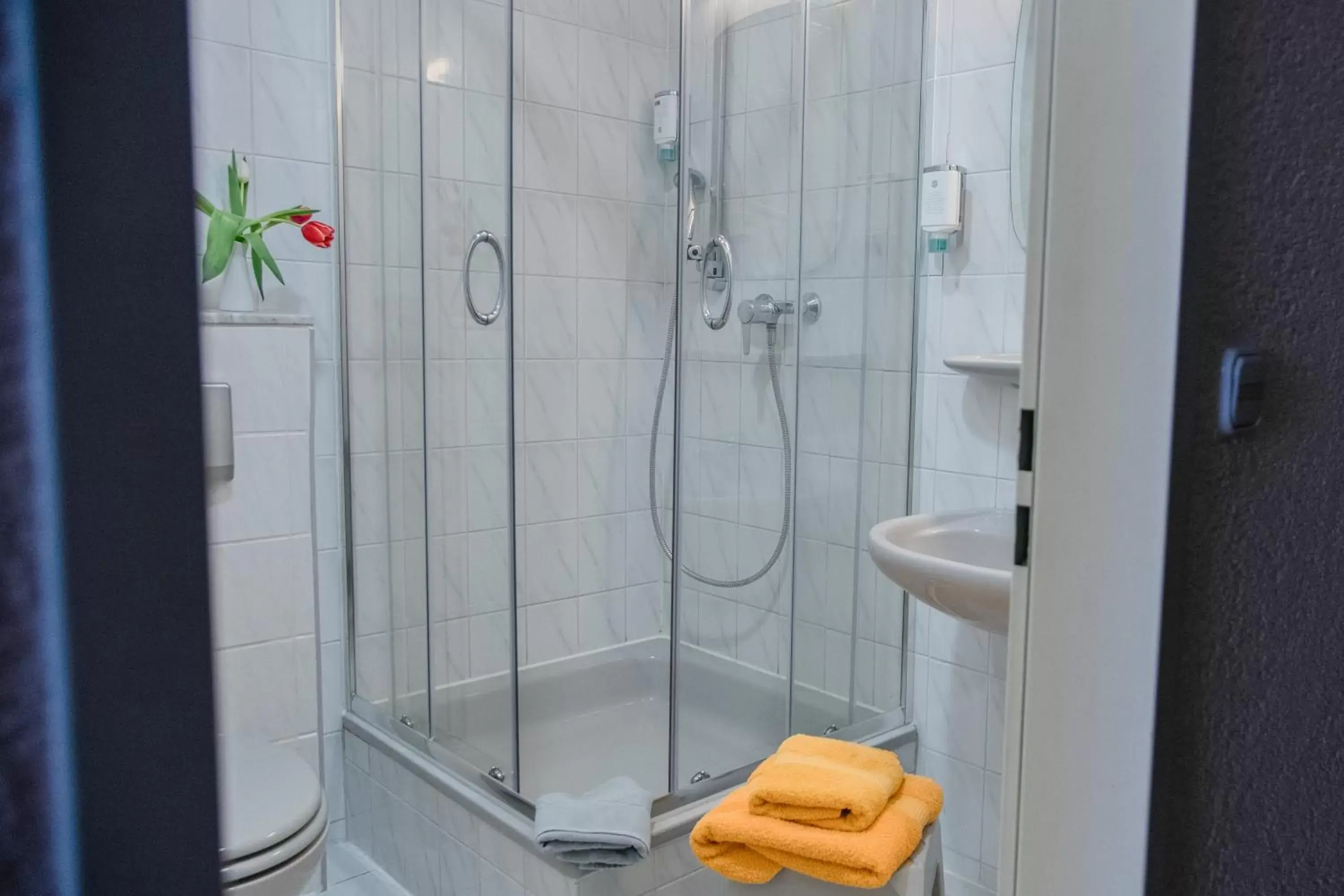 Single Room - single occupancy in Hotel Müller Single Room - single occupancy in Hotel Müller