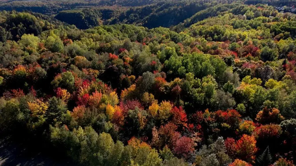 Natural landscape, Bird's-eye View in Hébergement Mont-Ste-Anne Condos