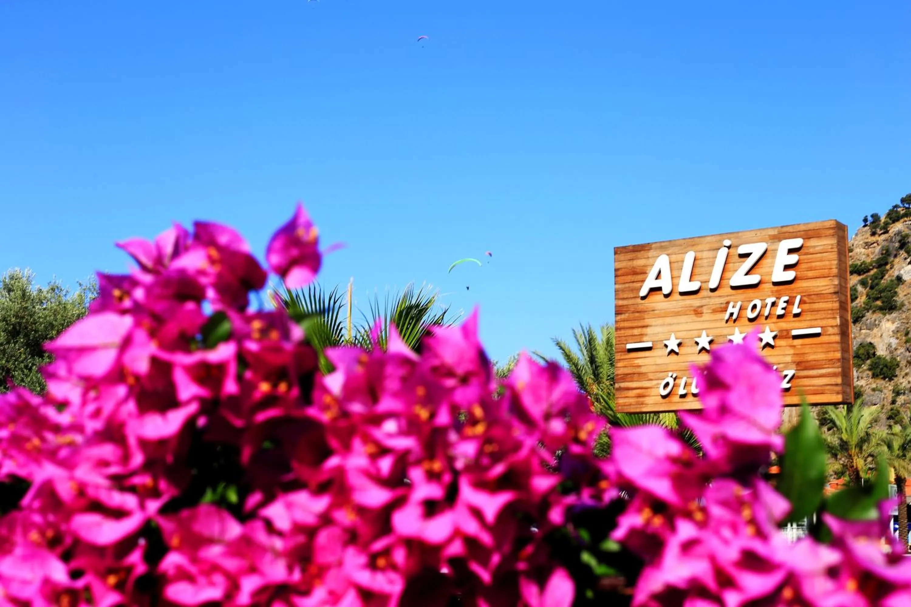 Property logo or sign in Alize Hotel Oludeniz - All Inclusive