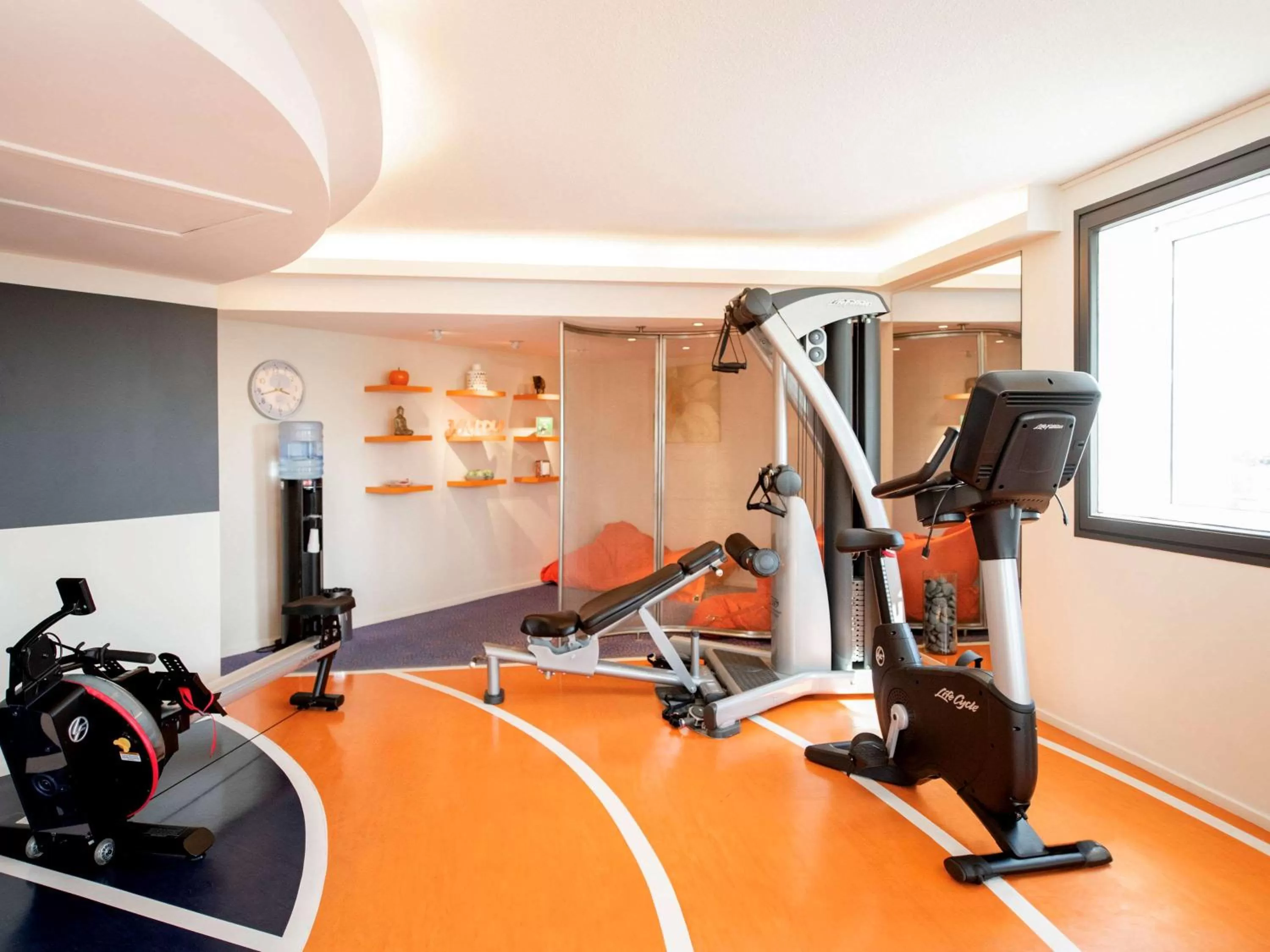 Fitness centre/facilities in Novotel Lyon Gerland Musée des Confluences