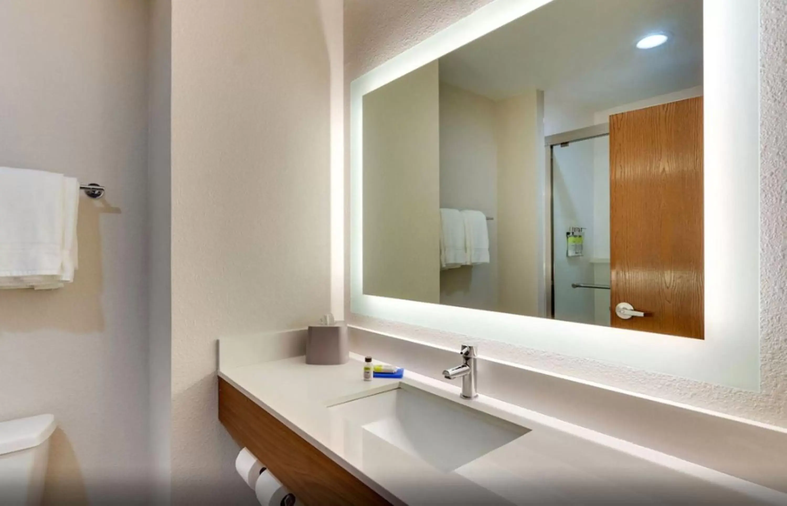 Bathroom in Holiday Inn Express Lake Worth NW Loop 820, an IHG Hotel