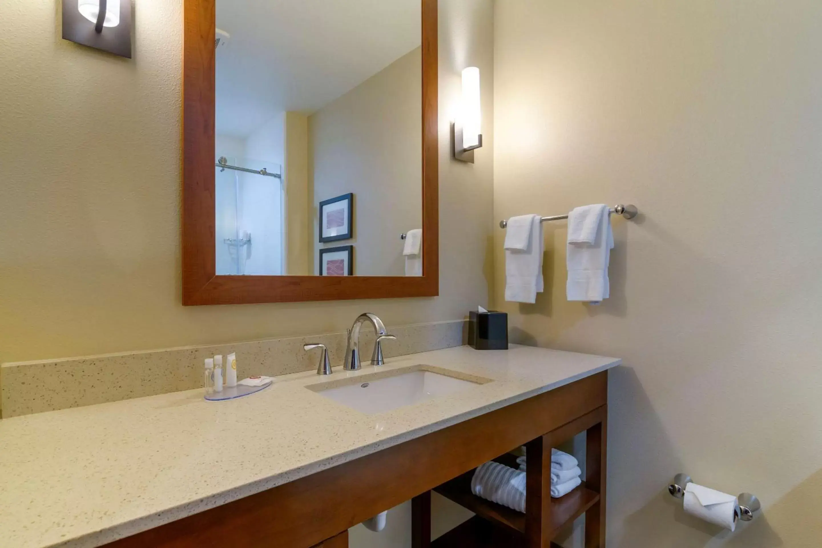 Bathroom in Comfort Inn & Suites Mandan - Bismarck