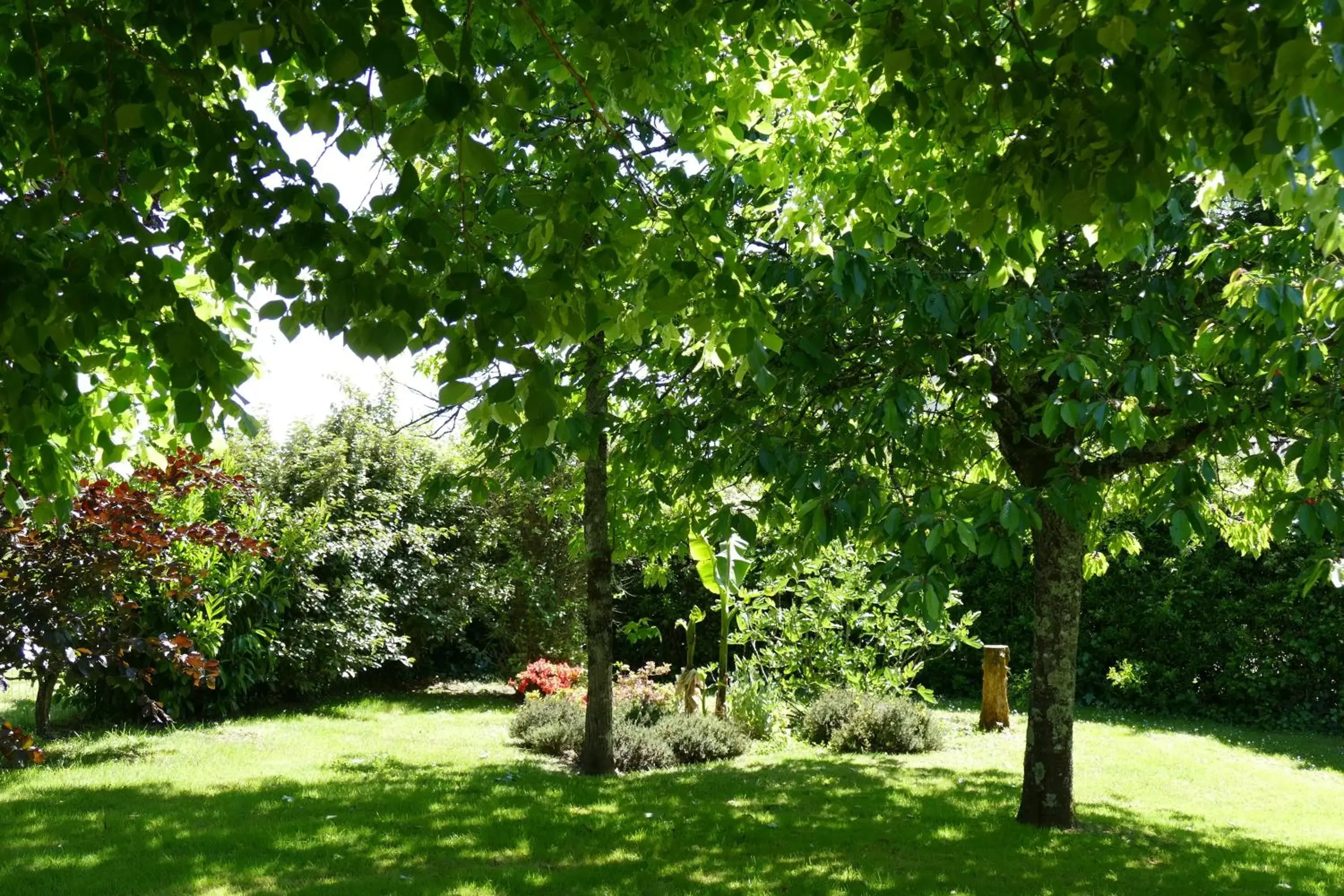 Garden in Le Clos des Perraudières