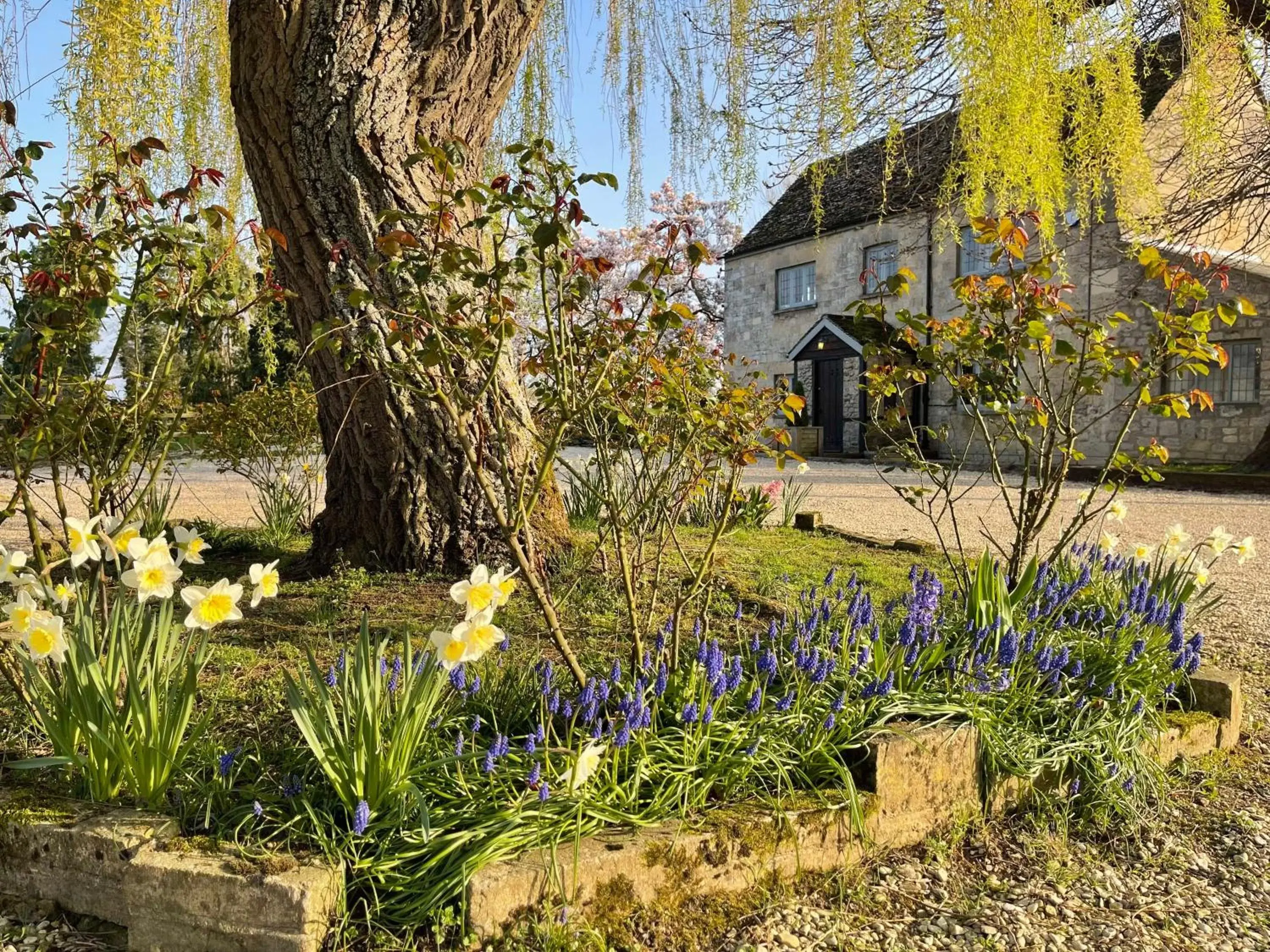 View (from property/room), Garden in Hill Farm