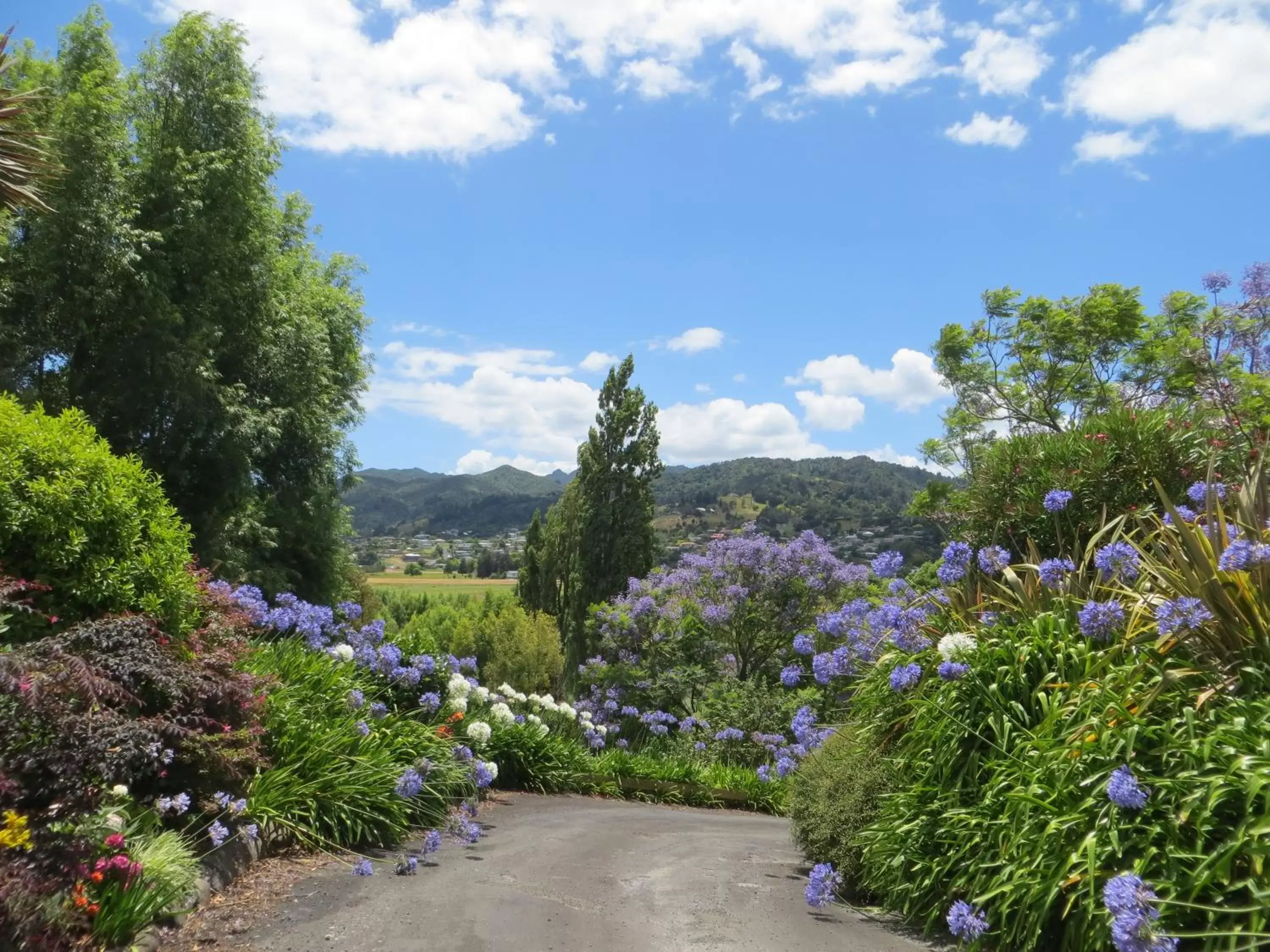 Natural landscape in Cotswold Cottage Bed and Breakfast