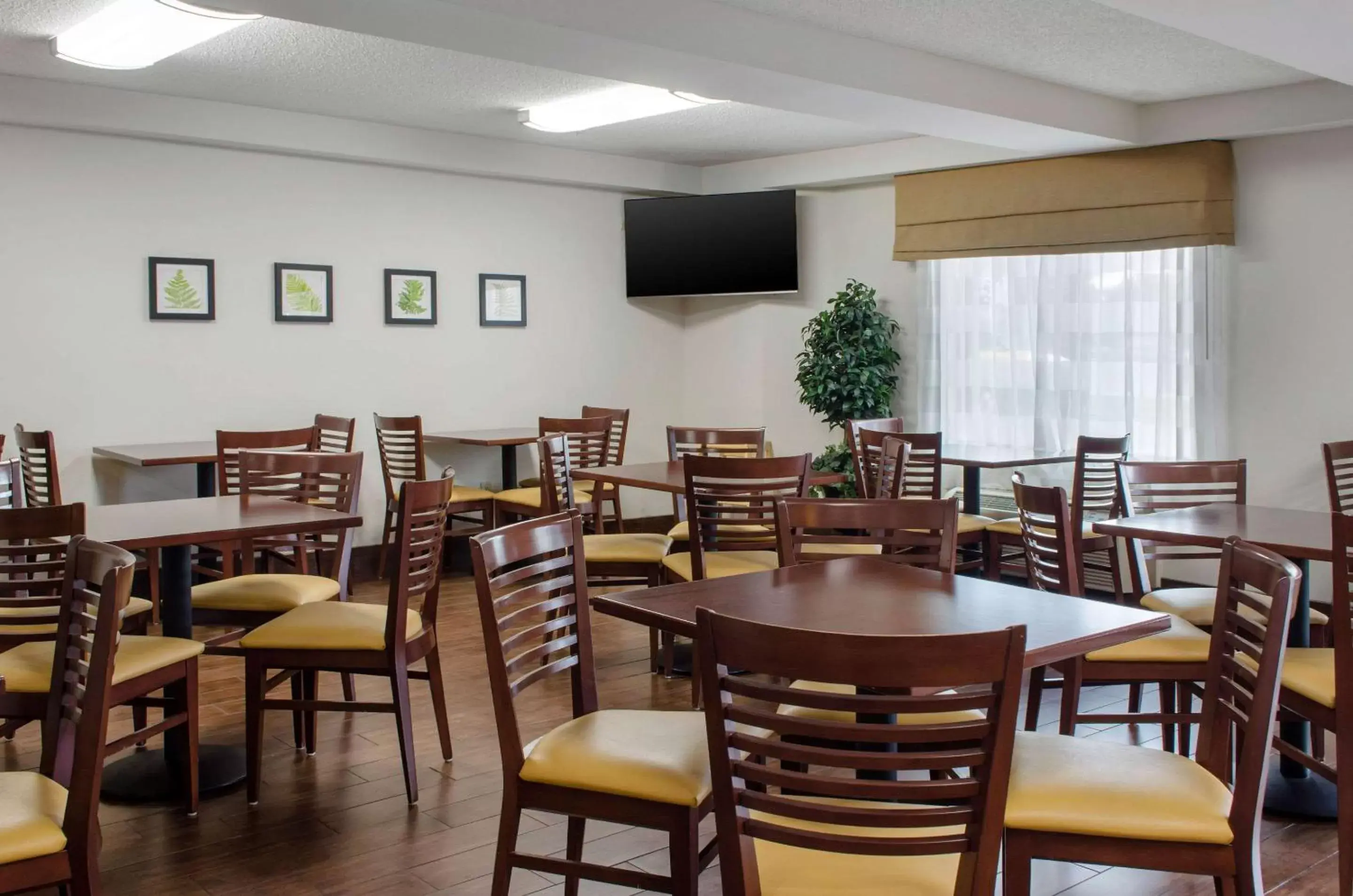 Restaurant/Places to Eat in Sleep Inn Baton Rouge East I-12