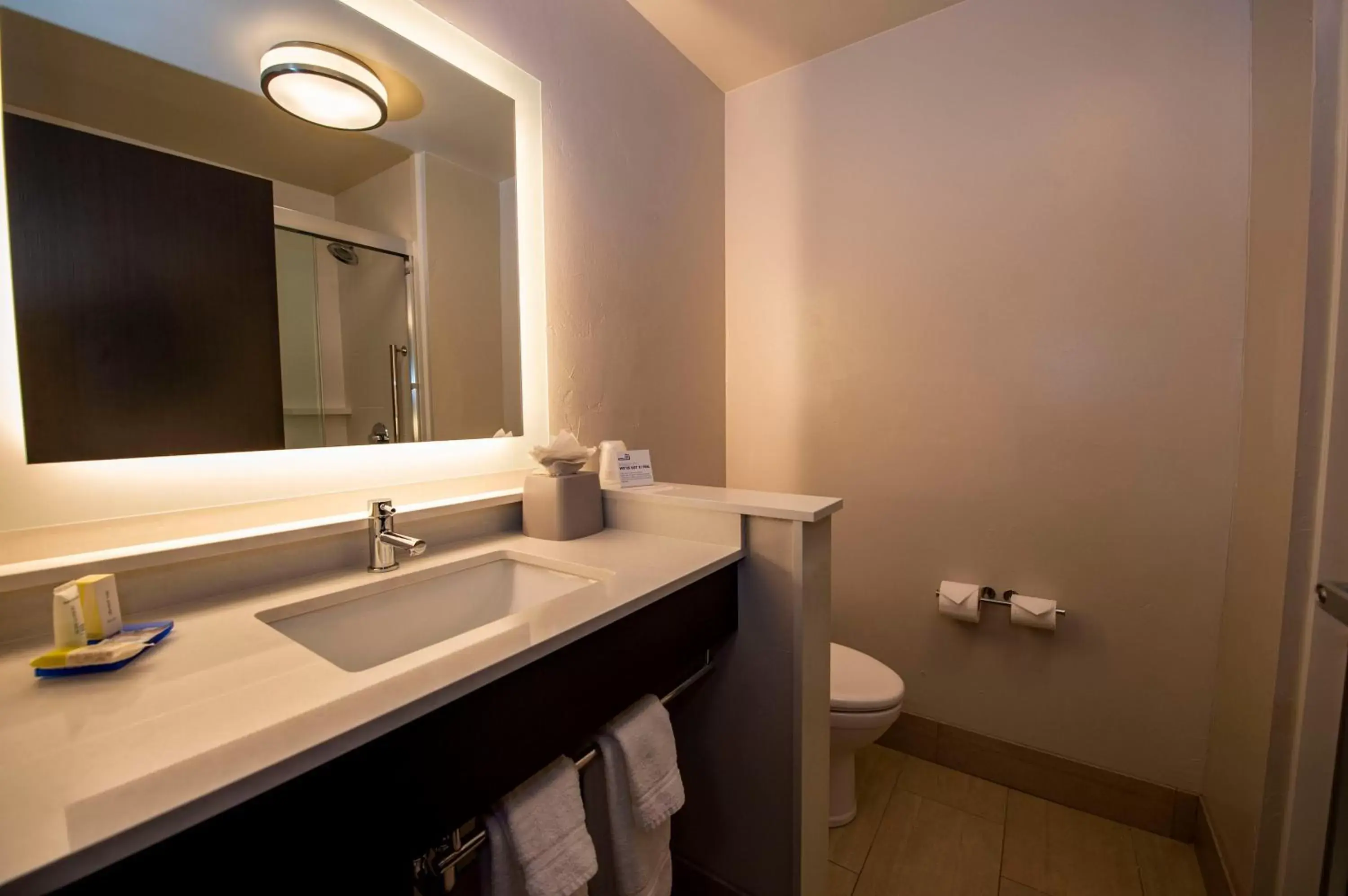 Bathroom in Holiday Inn Express & Suites - Colorado Springs AFA Northgate, an IHG Hotel