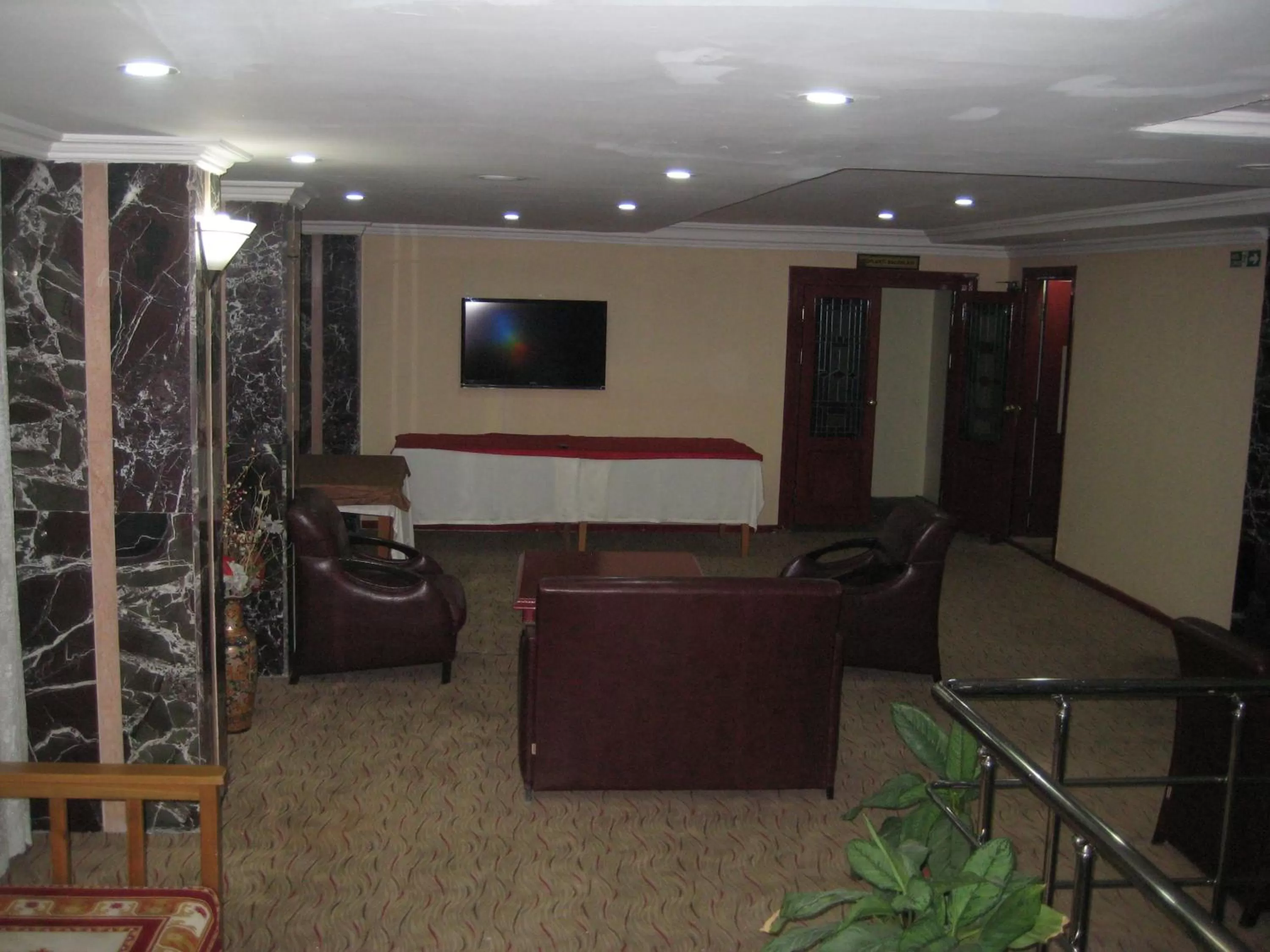 Communal lounge/ TV room in Miroglu Hotel