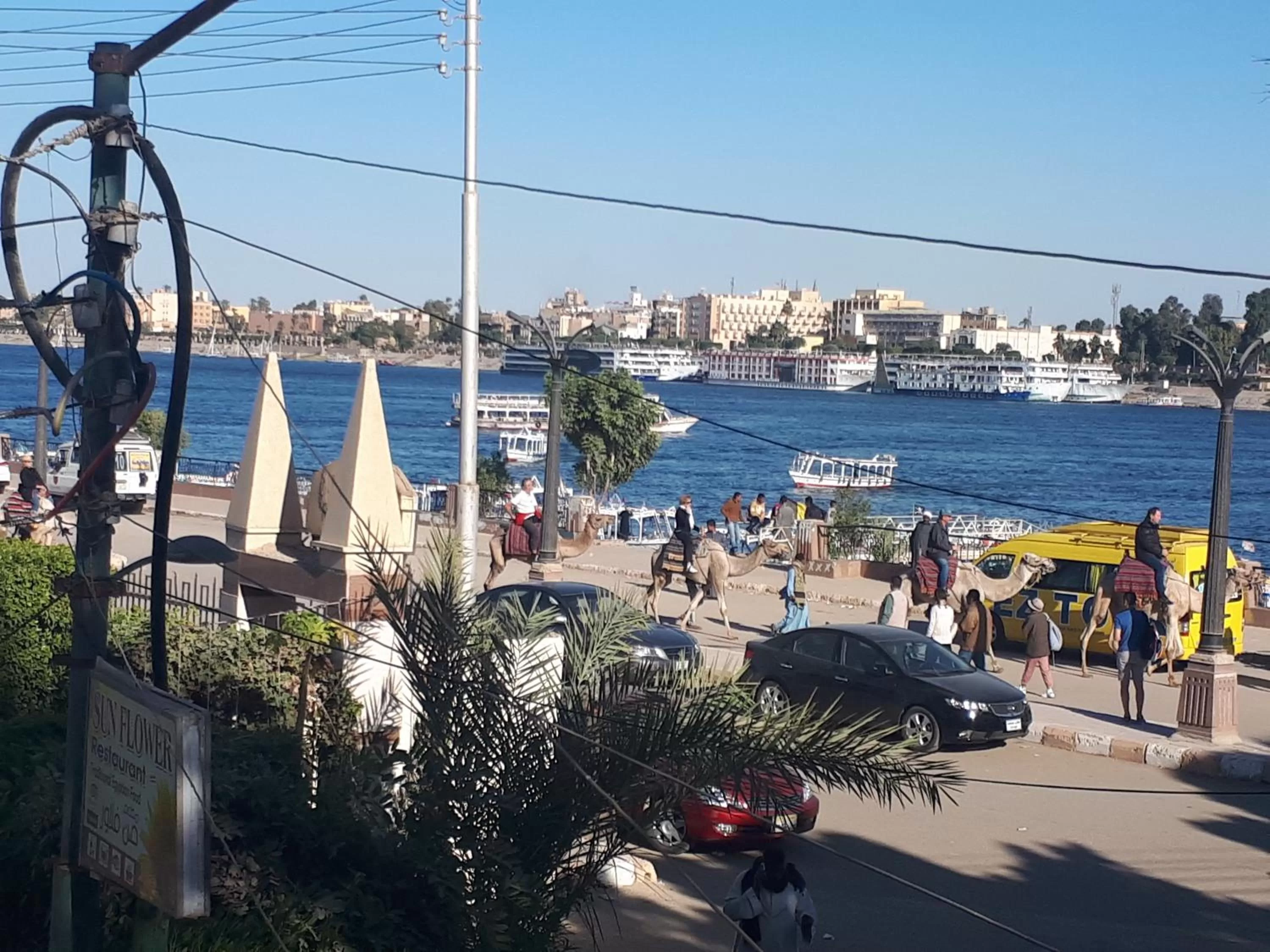 Sunflower Guest House Luxor West Bank