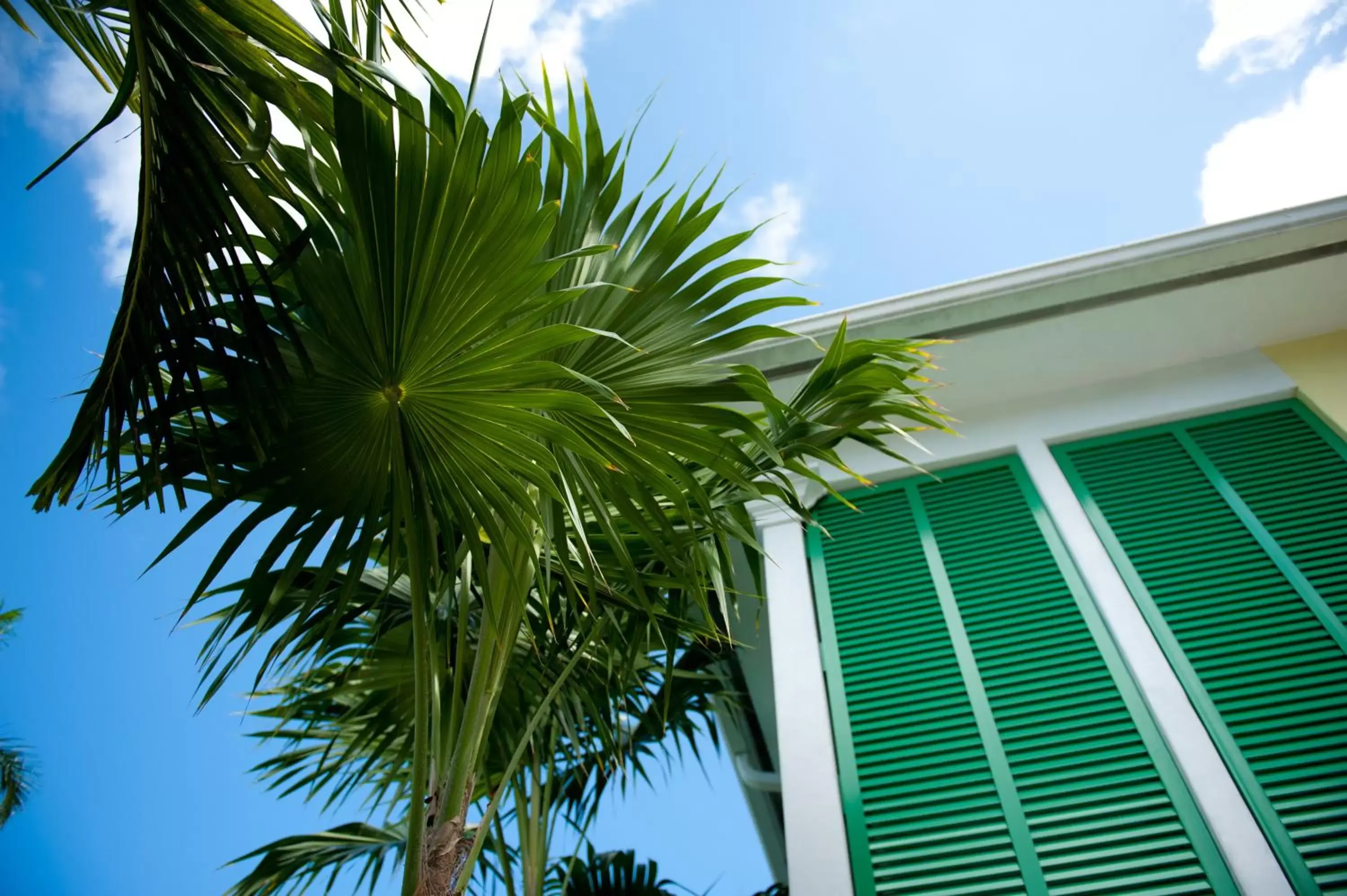 Property building in Almond Tree Inn - Adults Only Property building in Almond Tree Inn - Adults Only
