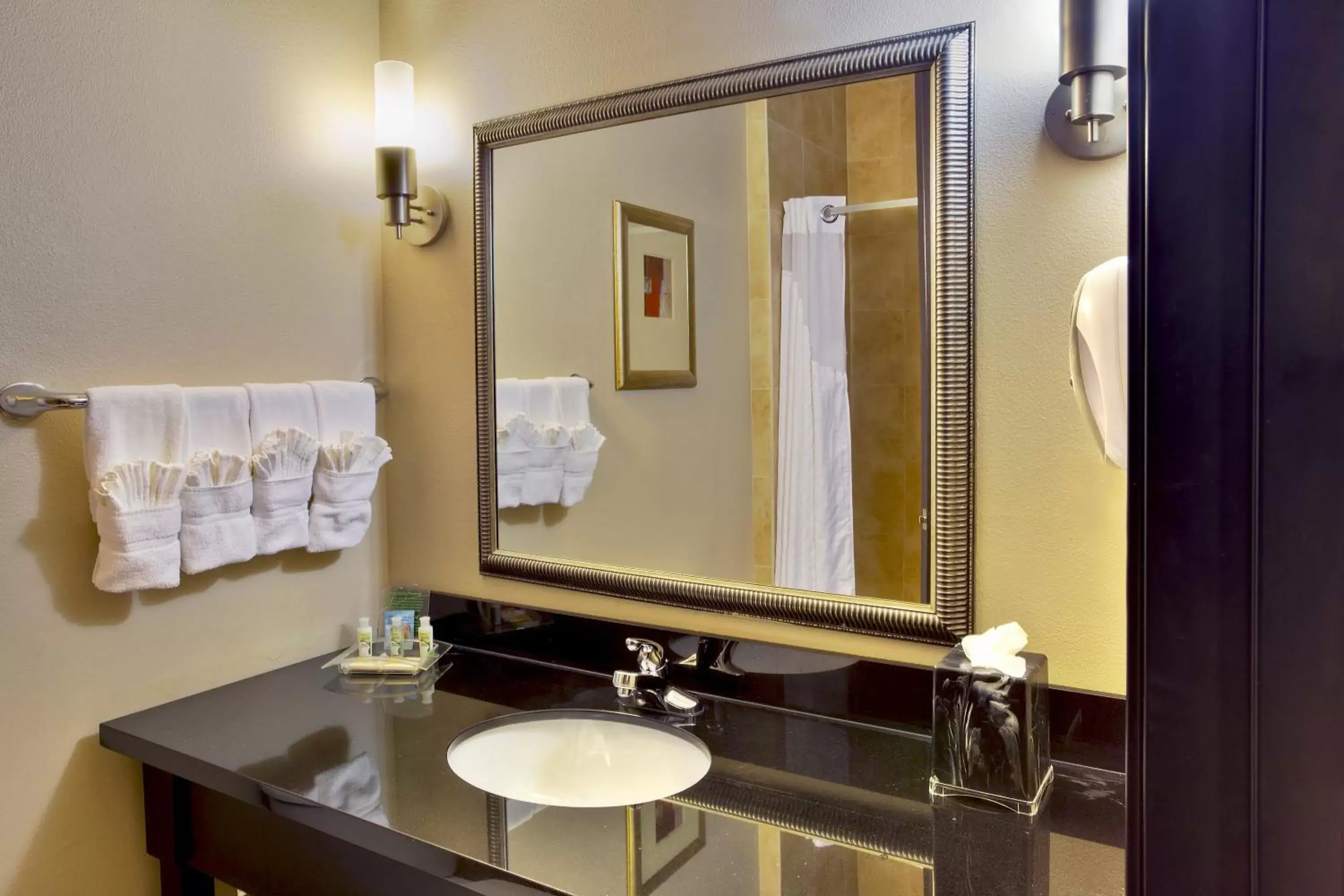 Bathroom in Holiday Inn Killeen Fort Hood, an IHG Hotel