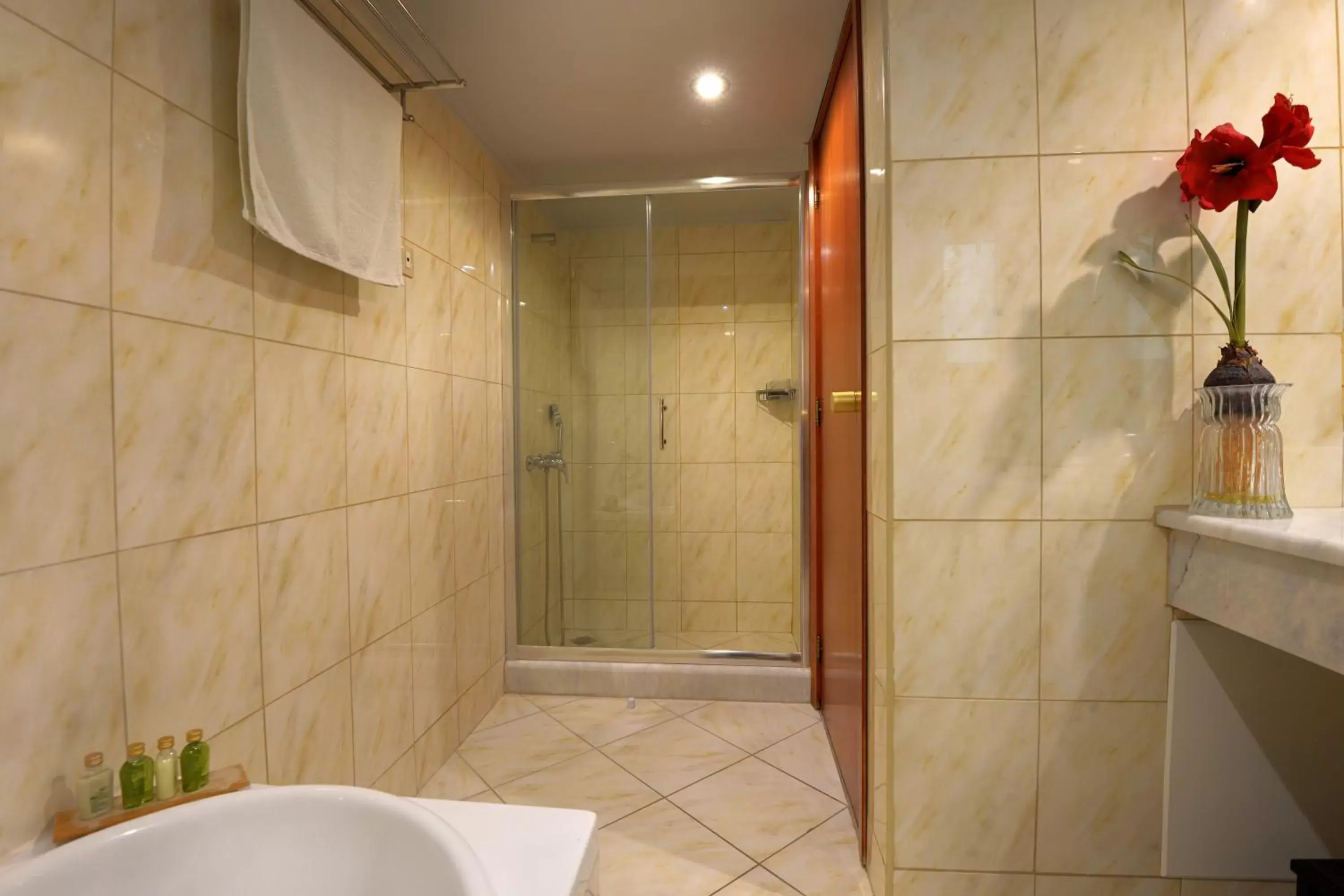 Shower, Bathroom in Ariti Grand Hotel