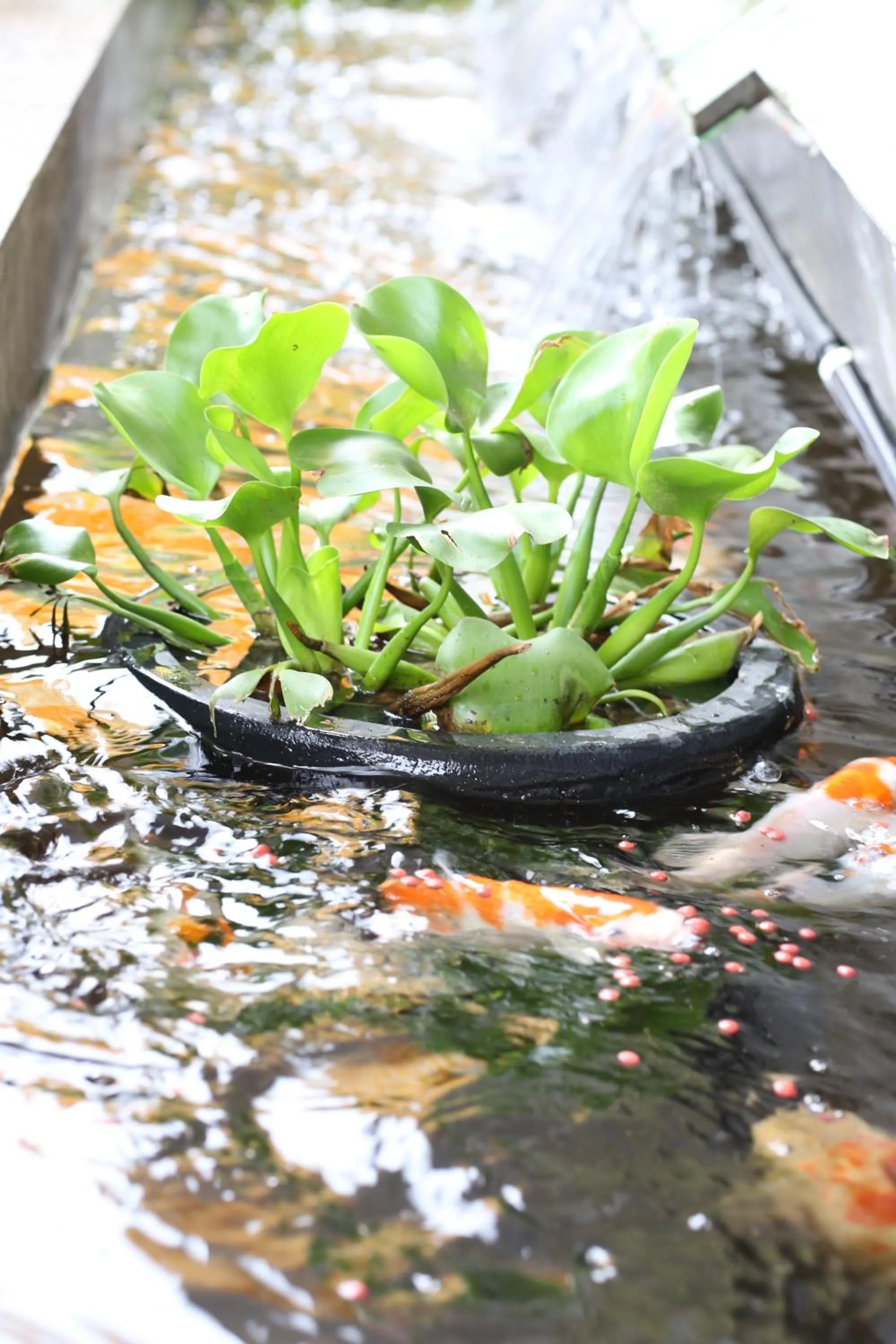 Day in F Hotel Jakarta