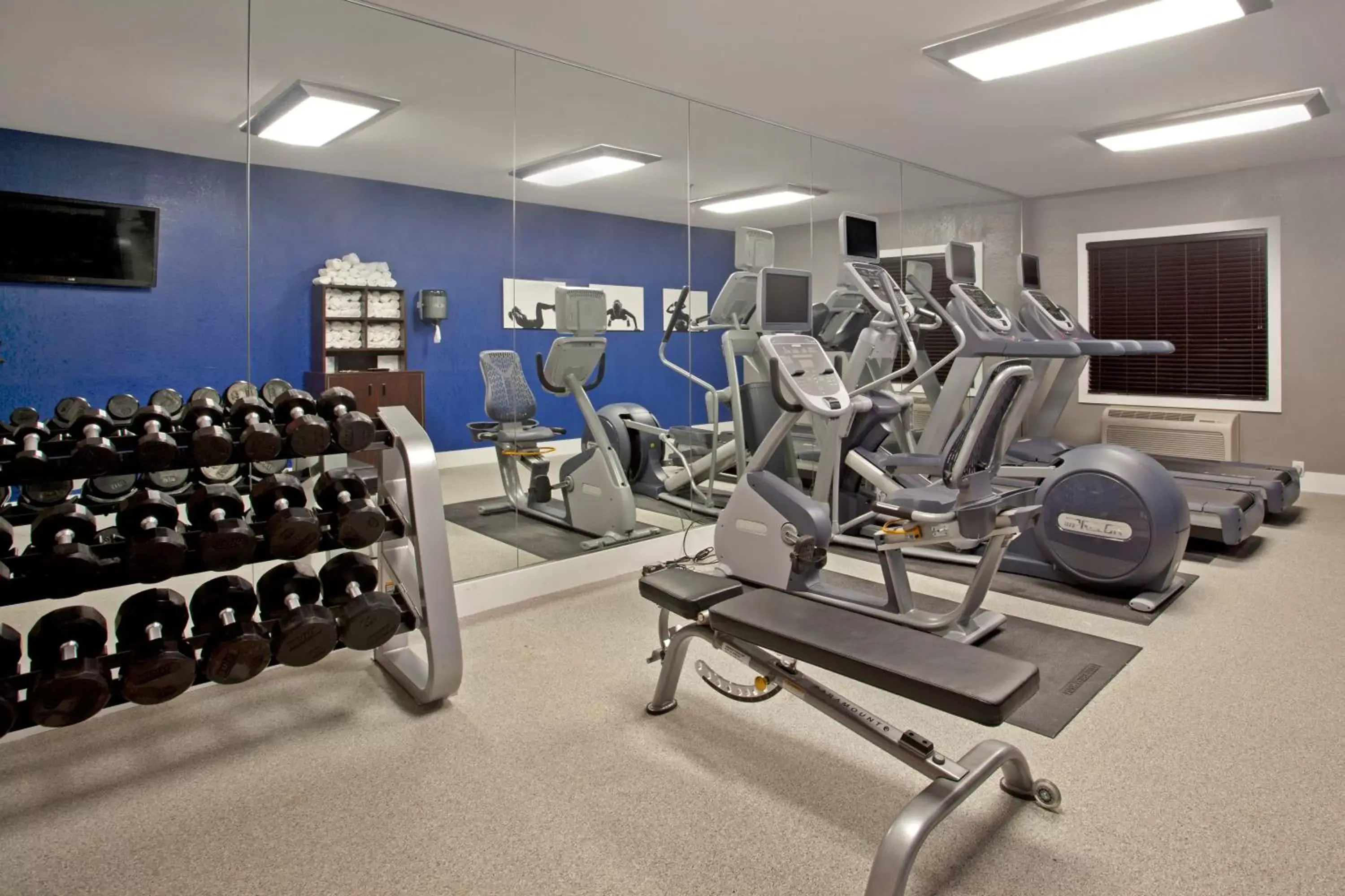 Spa and wellness centre/facilities, Fitness Center/Facilities in Holiday Inn Express Hotel & Suites Minneapolis - Minnetonka, an IHG Hotel