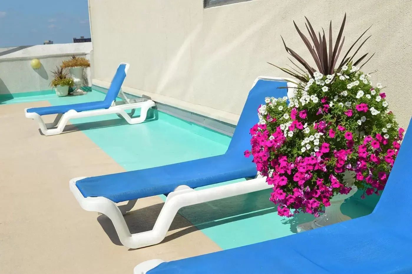 sunbed in Boardwalk Resorts - Flagship sunbed in Boardwalk Resorts - Flagship