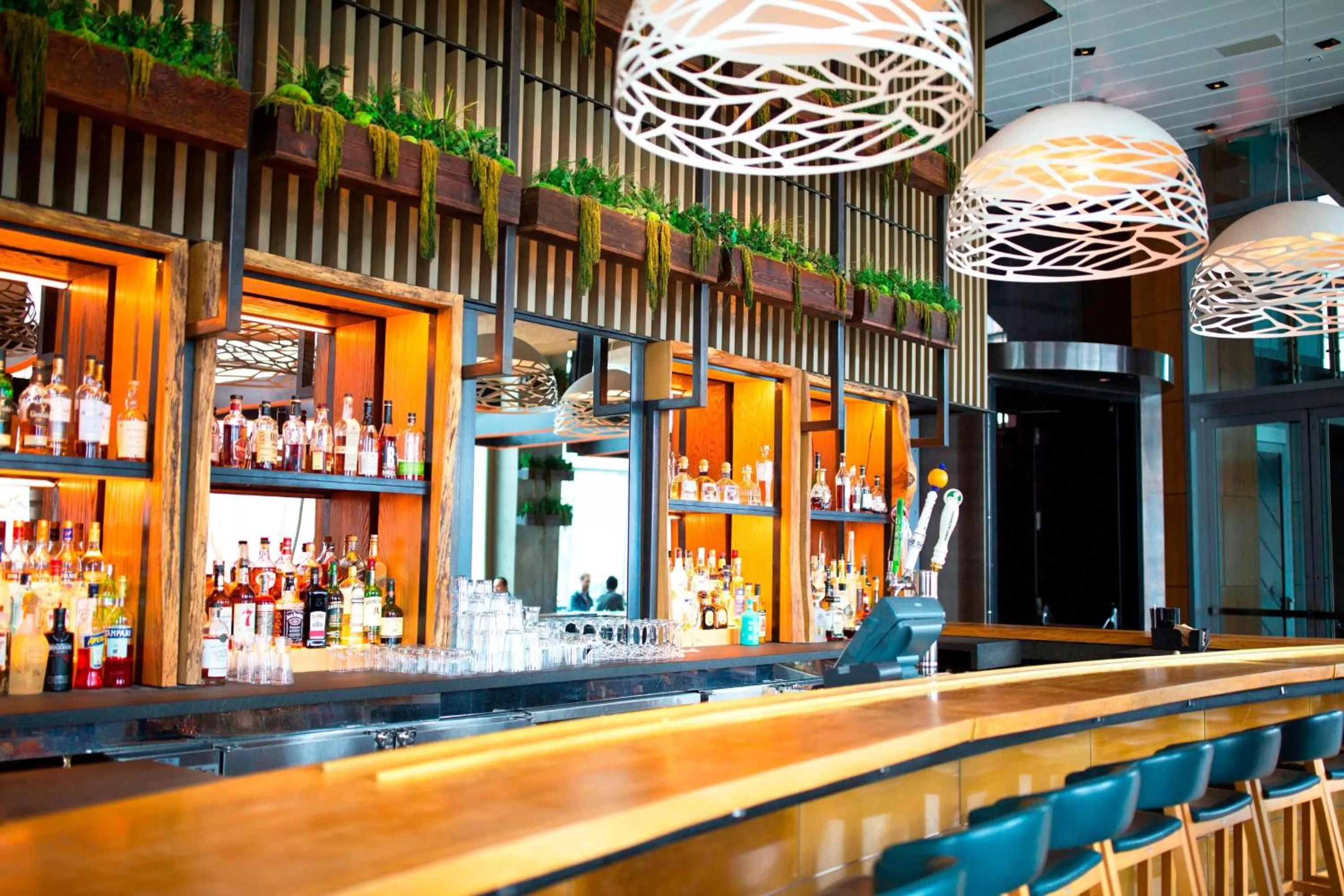 Lounge or bar in W Hoboken